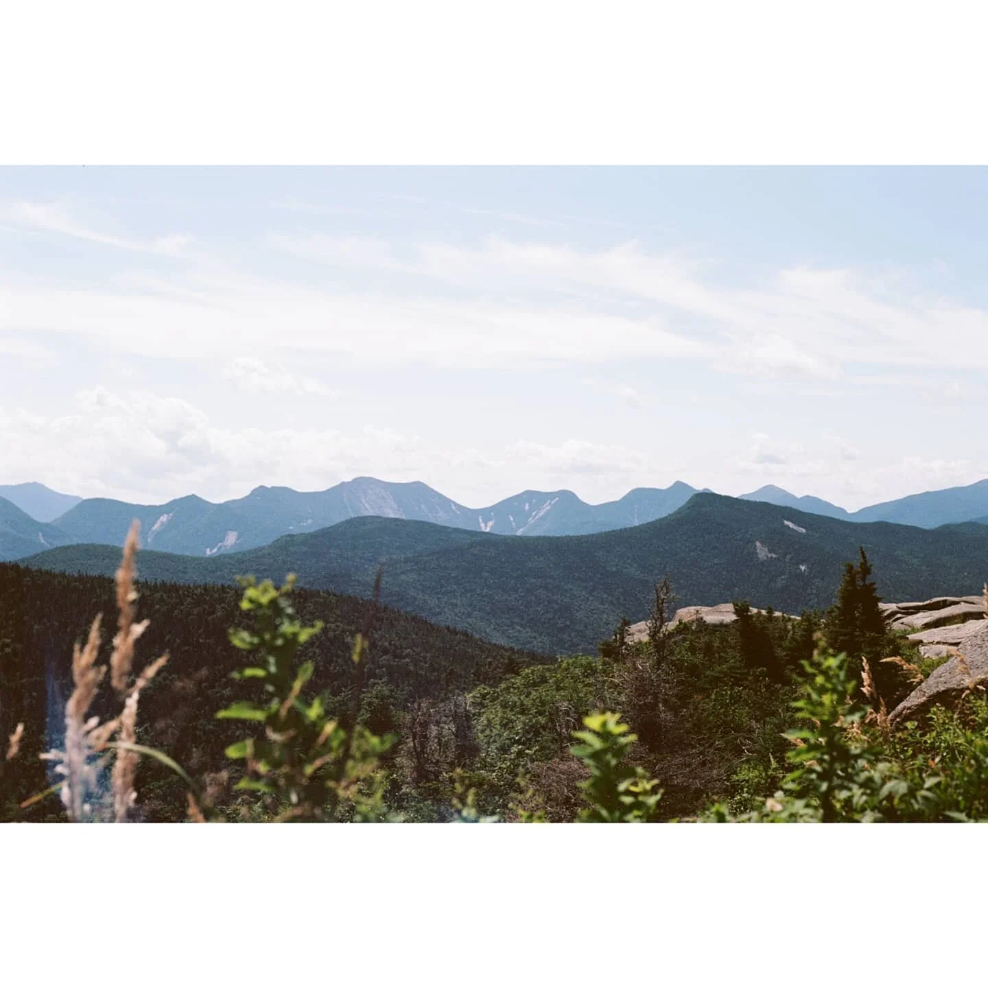 🌳⛰️🌳
&bull;
&bull;
&bull;
Continuing the throwback series with more photos from last summer's trip to upstate New York. I'd love to go back one day to catch the sunrise 🌄
Hoping that day comes sooner than later 💗 Stay home, stay safe, all
#minolt