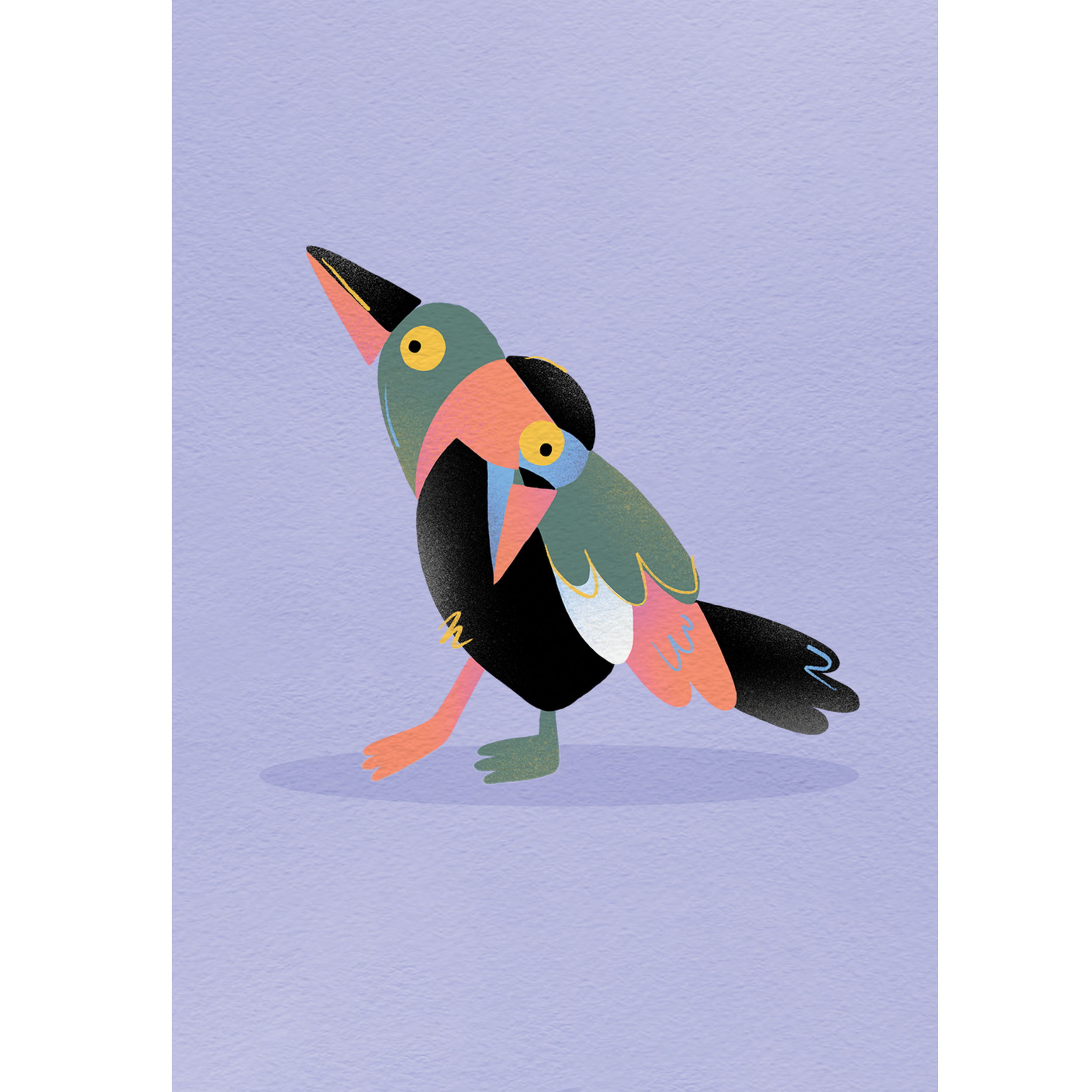 Currawong