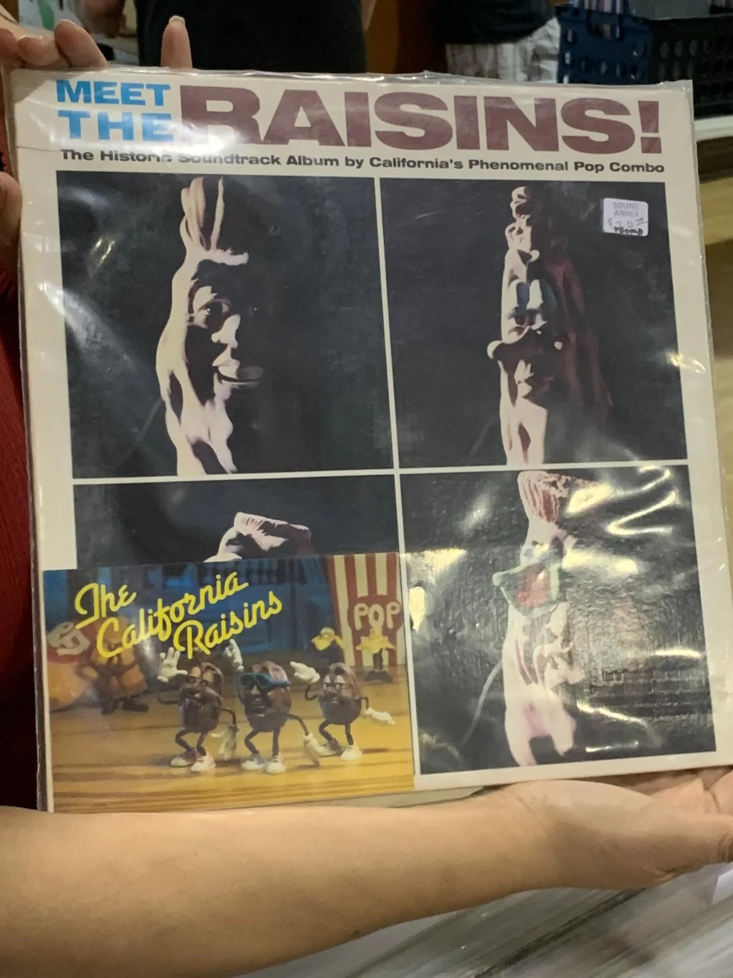 California Raisins - Meet The Raisins! (Promo + Postcard ) @soundannex 

&mdash;&mdash;

&ldquo;Sound Annex&rdquo;

LP&rsquo;s CD&rsquo;s DVD&rsquo;s Tapes &amp; More

⬛️⚫️🎶 🎛📈✌️

#vinyl #recordsreposted #music #movies recordstore owner soundannex