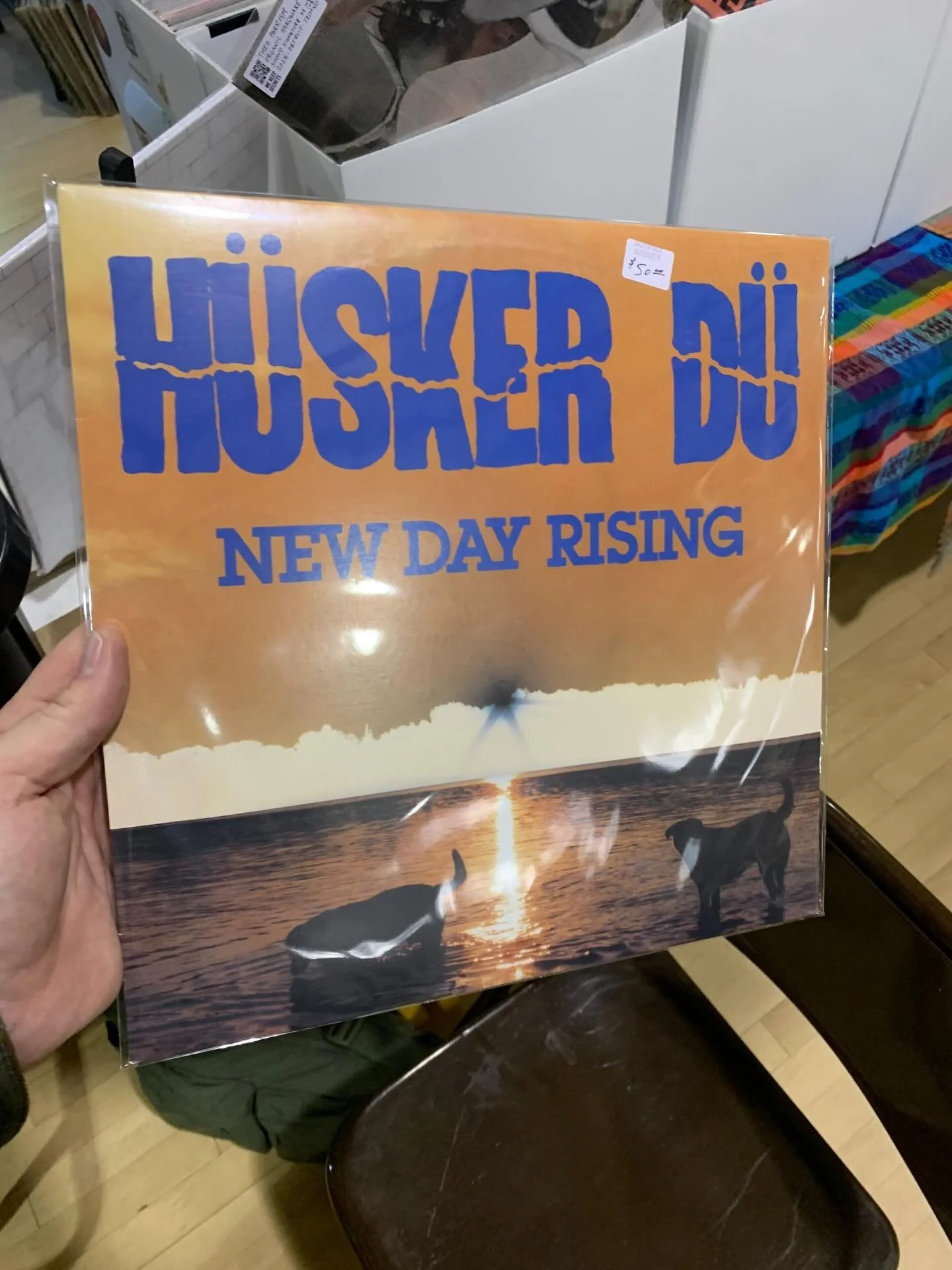 H&uuml;sker D&uuml; - New Day Rising @soundannex 

&mdash;&mdash;

&ldquo;Sound Annex&rdquo;

LP&rsquo;s CD&rsquo;s DVD&rsquo;s Tapes &amp; More

⬛️⚫️🎶 🎛📈✌️

#vinyl #recordsreposted #music #movies recordstore owner soundannex @soundannex yubacity 