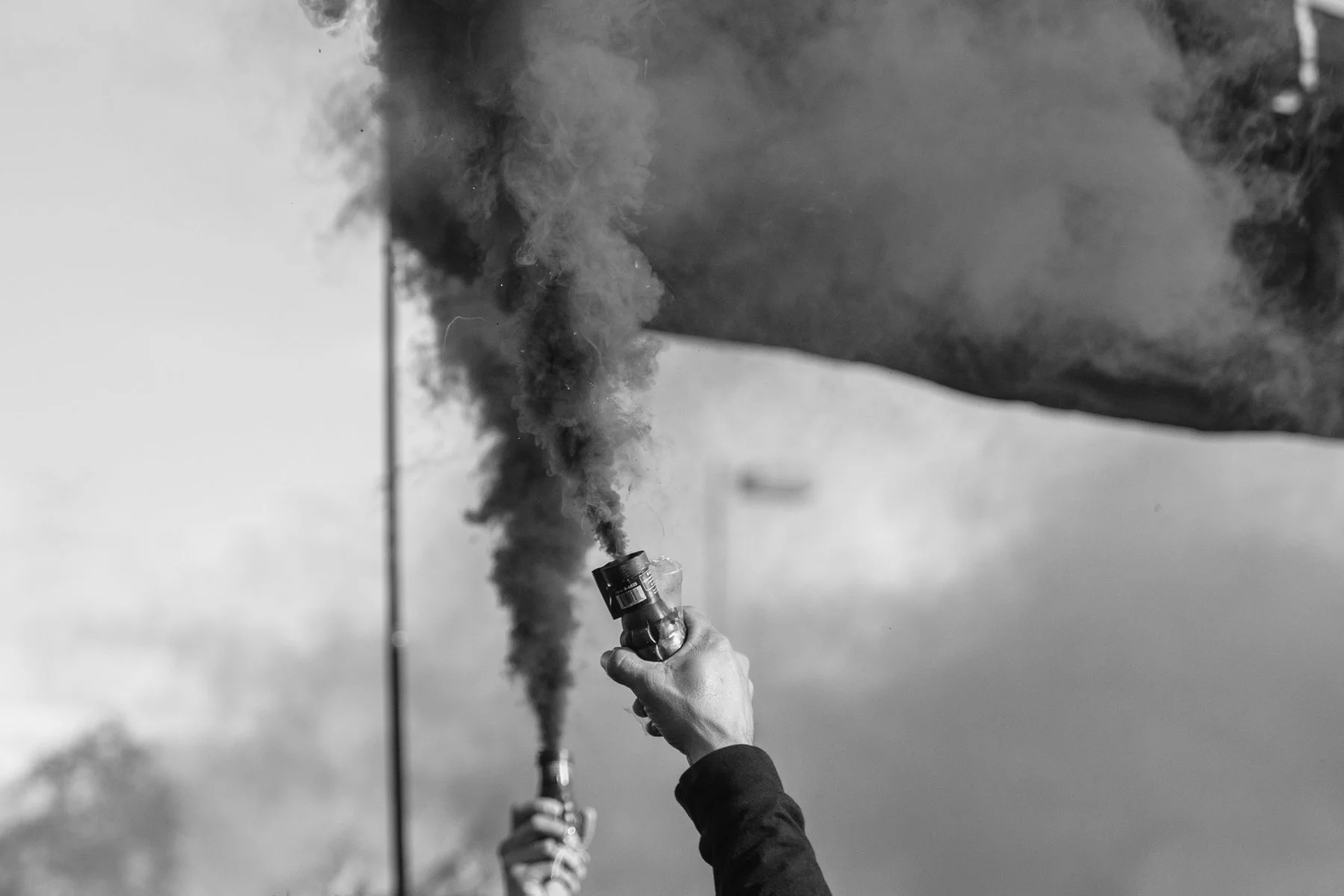 267A5706.jpg