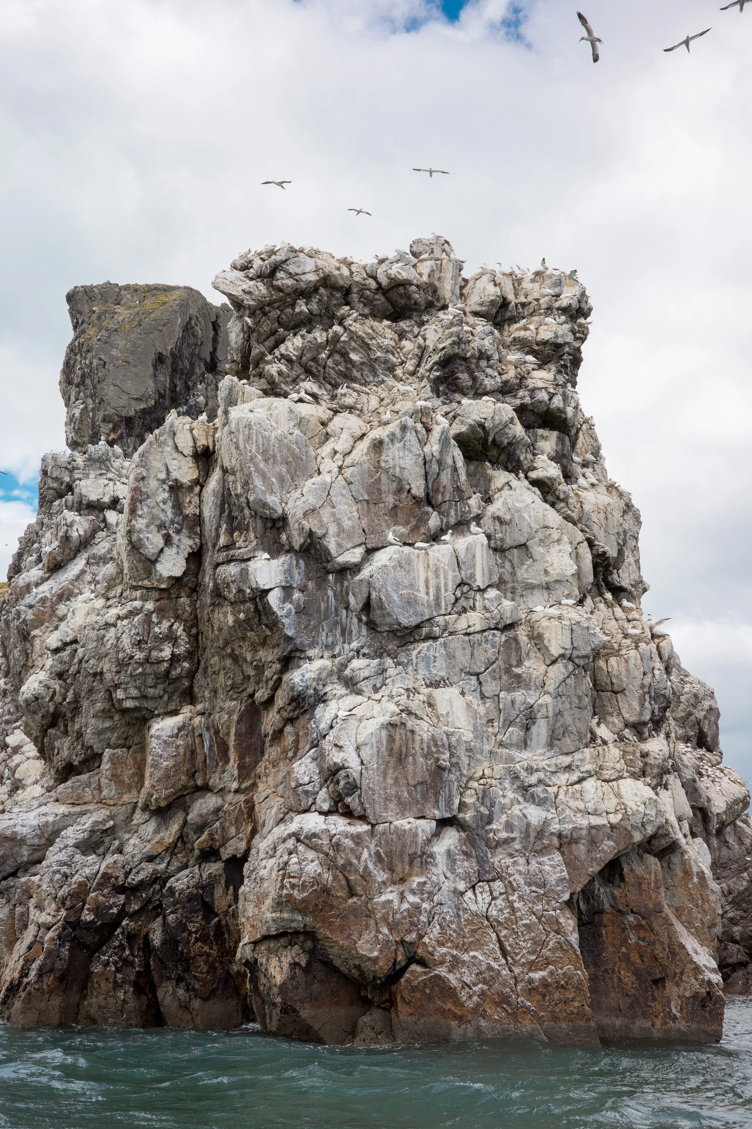 Sea birds circle a fragment of the Eye of Ireland outside of Howth.