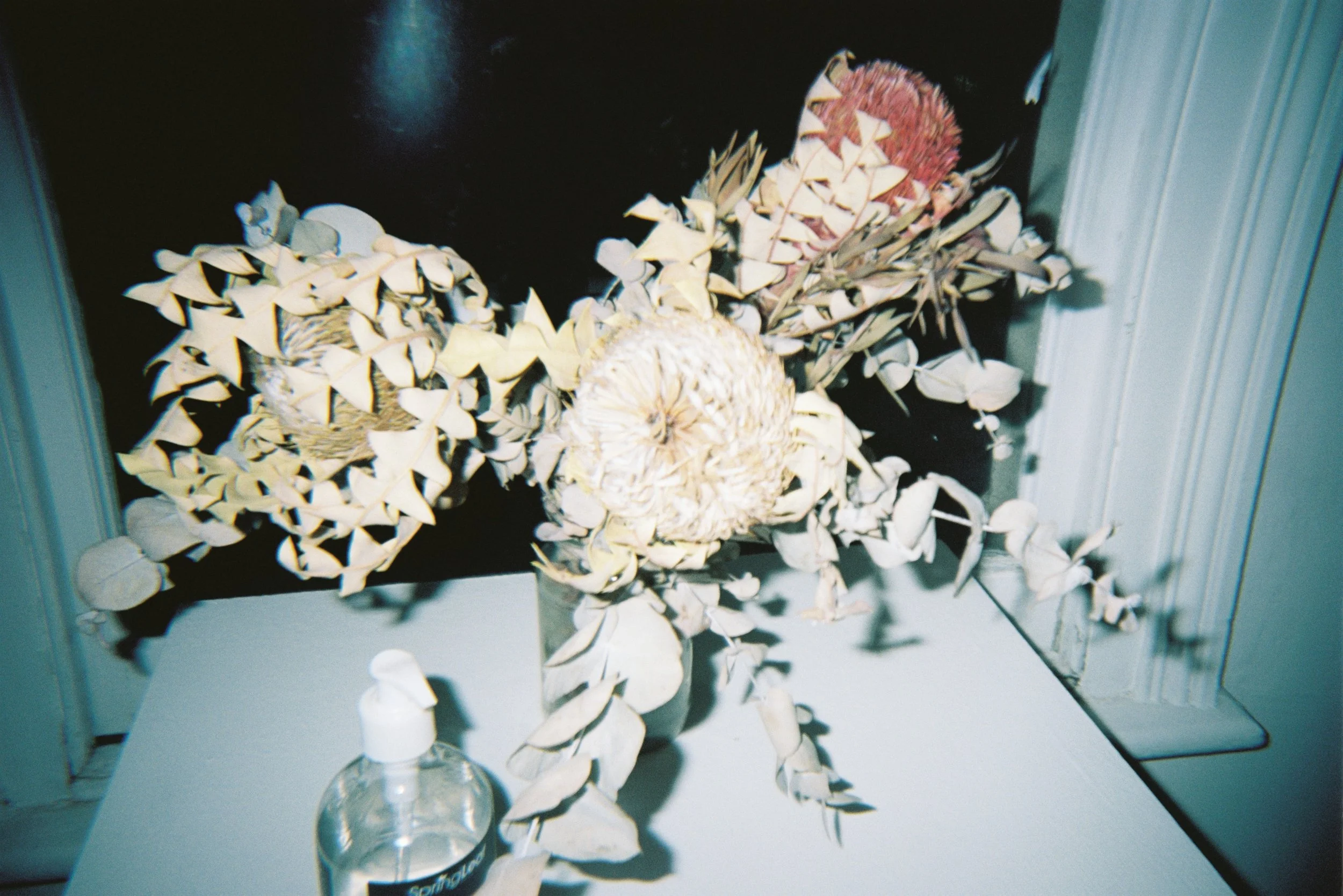 canvo 121212000048.JPG