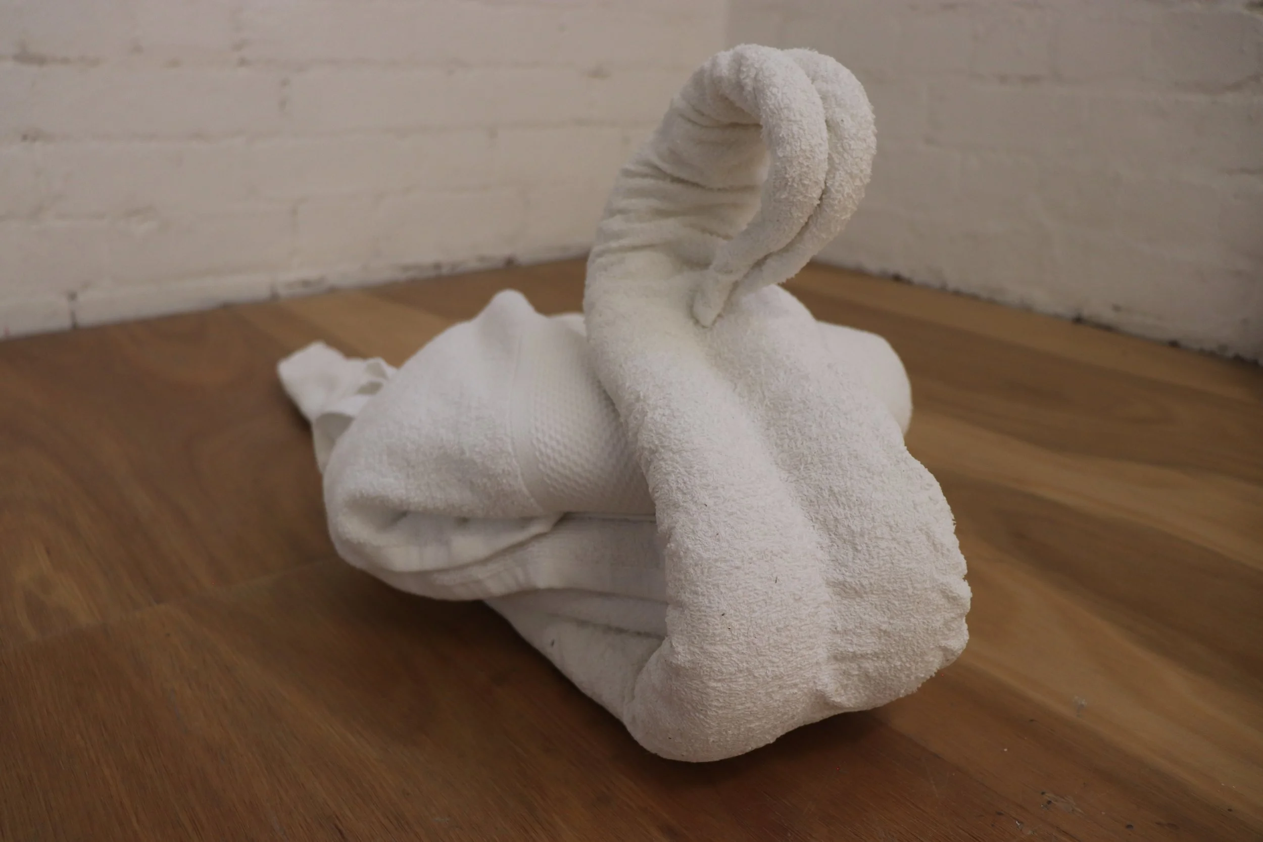 'Moving My Image Through Any-Space-Whatever', towel, VCA Stables, 2024
