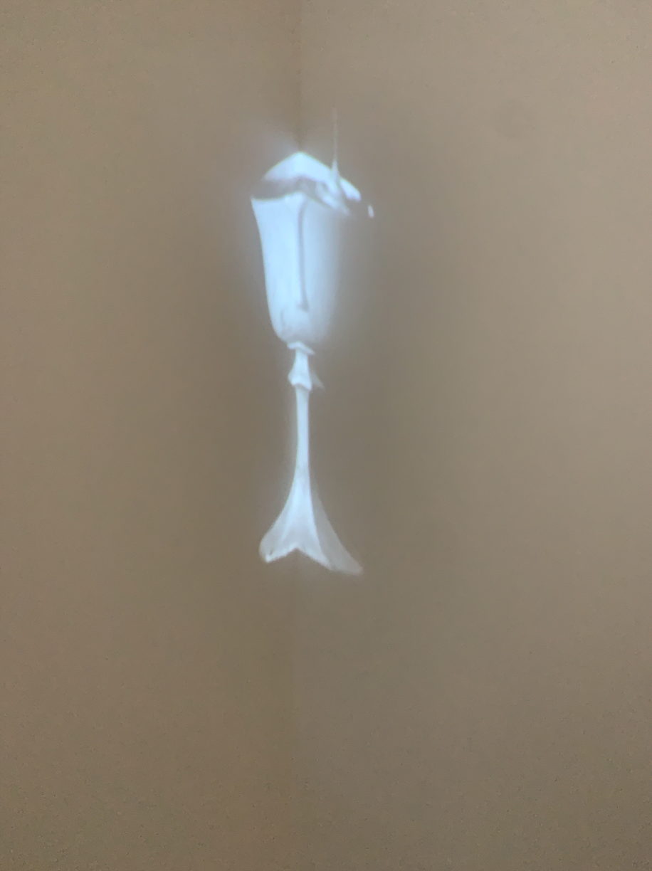 From Your Overflow, projected video, paint, VCA Artspace, 2021