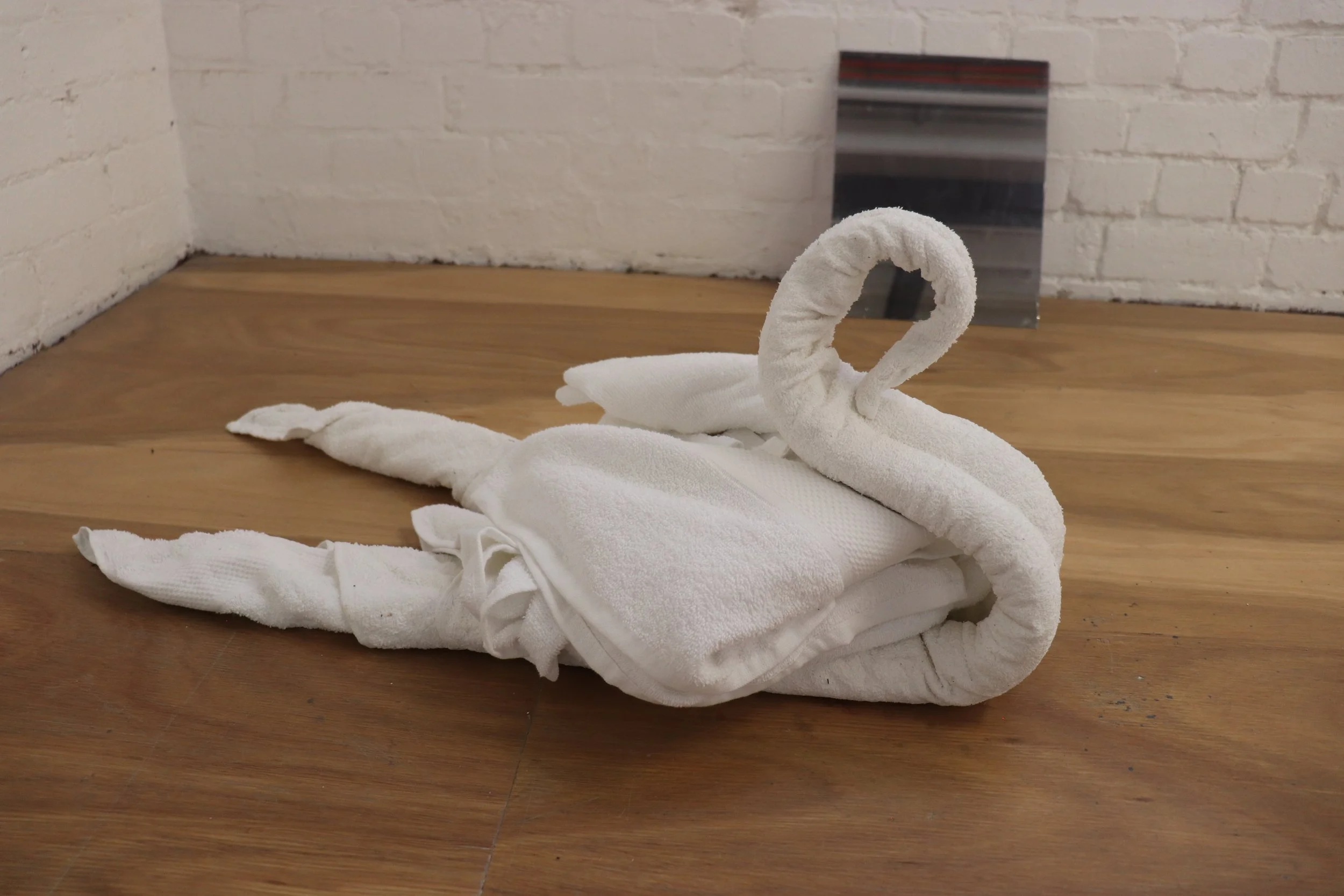 'Moving My Image Through Any-Space-Whatever', towel, glass, two-way mirror film, VCA Stables, 2024