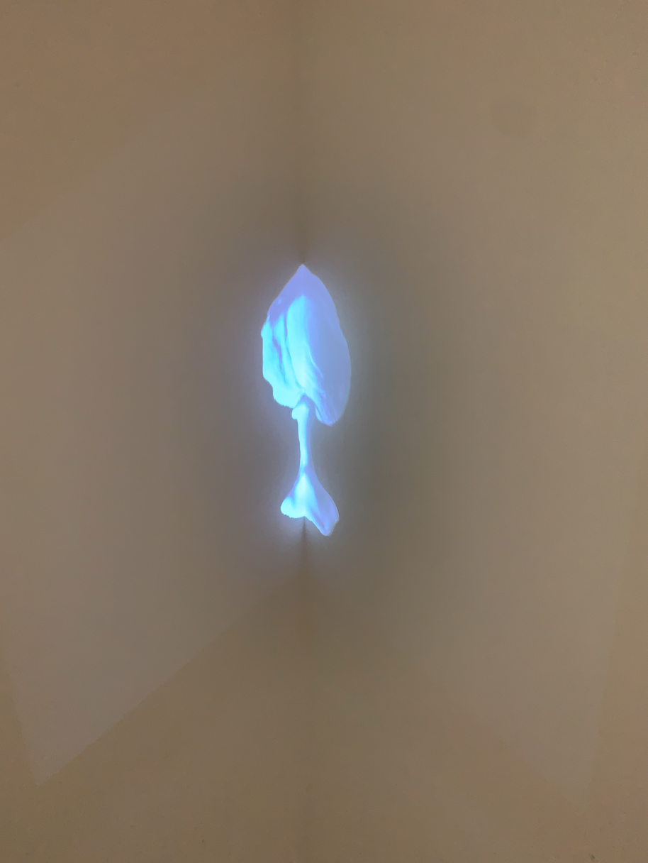 From Your Overflow, projected video, paint, VCA Artspace, 2021
