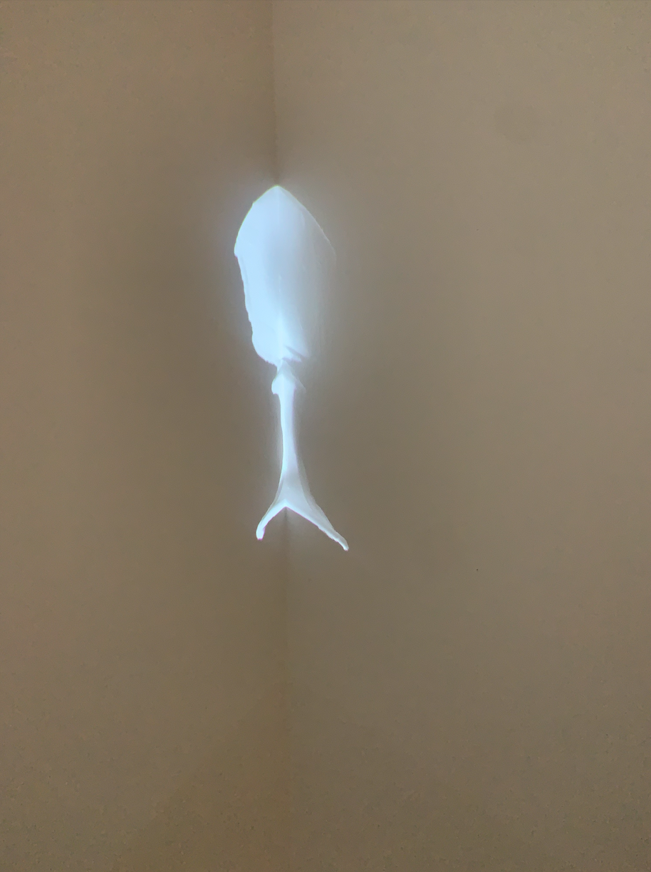 From Your Overflow, projected video, paint, VCA Artspace, 2021