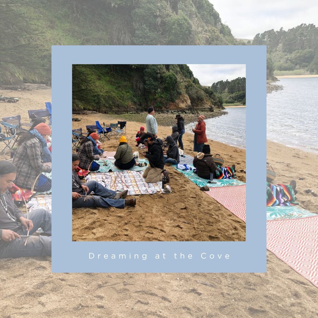 With a special use permit from the National Park Service, we hosted 10 Indigenous ancestral skills keepers at our cove. We embarked on a cultural journey, learning the ancestral uses of local plants for sustenance and healing. As we sat by the beach,