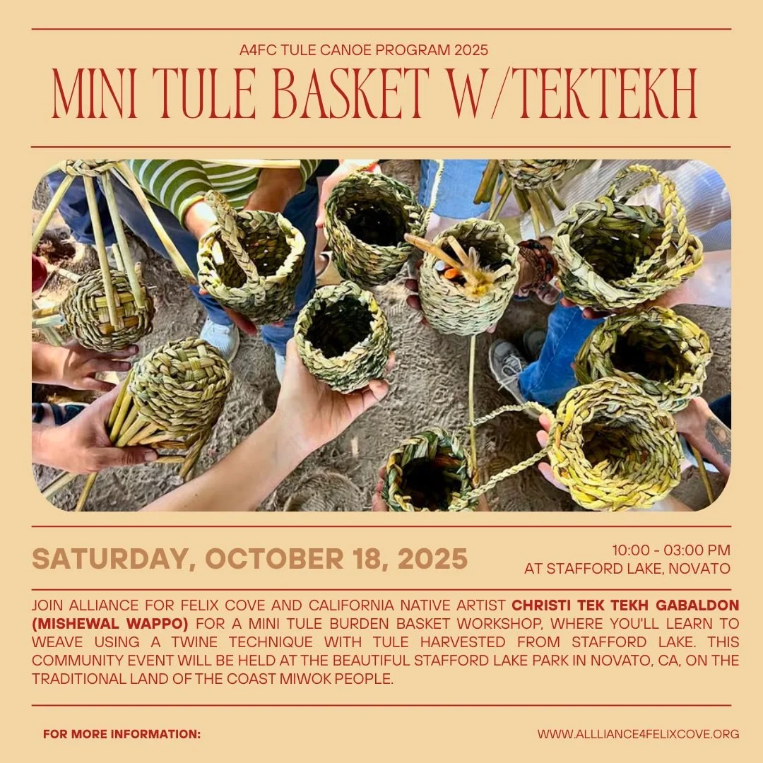 Tule isn&rsquo;t just a plant&mdash;it&rsquo;s woven into our stories, homes, and futures. 
🧺Join us October 18th, 10am&ndash;3pm at Stafford Lake (Novato, CA) for a Mini Tule Basket workshop with TekTekh (Mishewal).

Learn hands-on with traditional