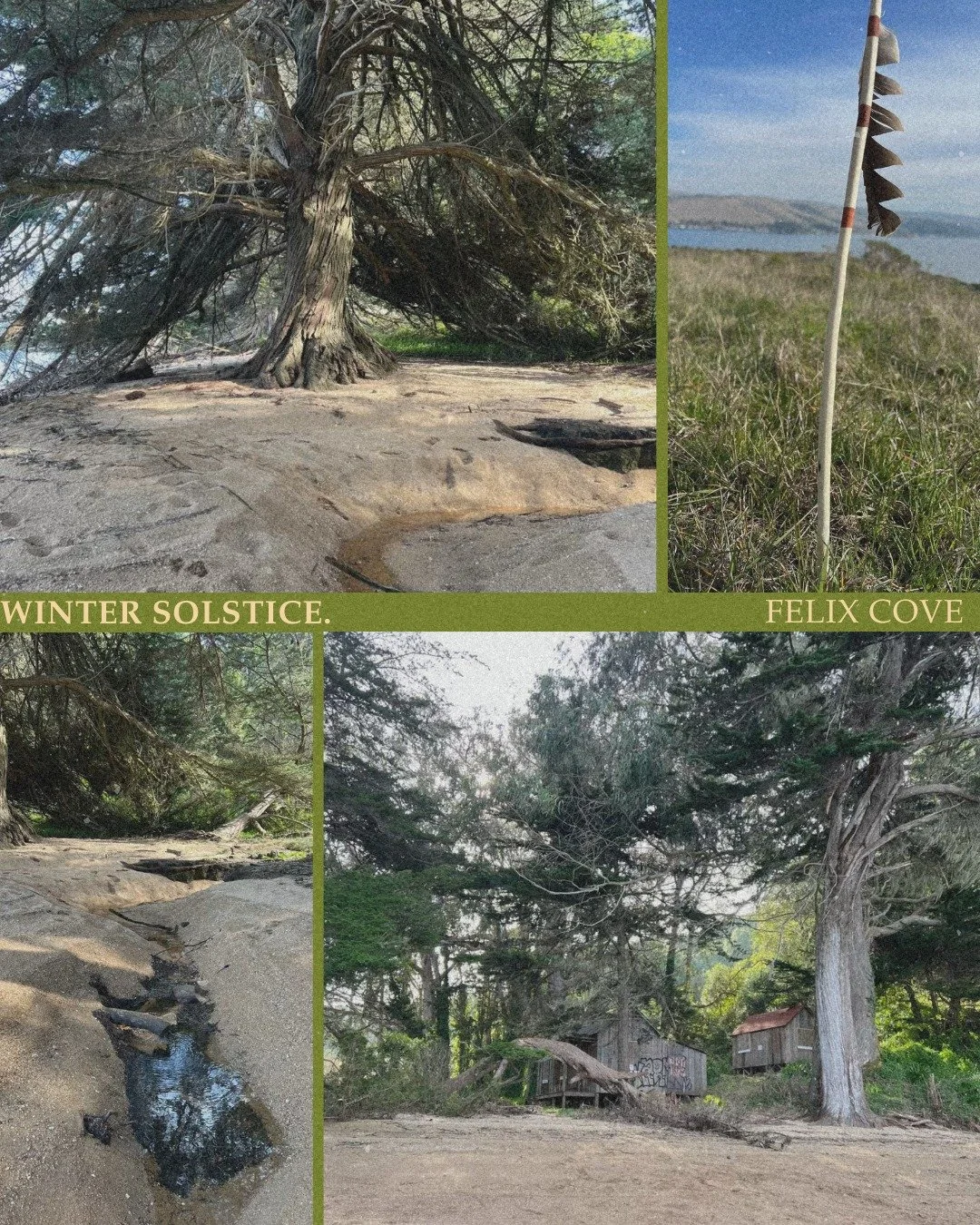 The winter rains bring a time of deep restoration. ❄️💧

This solstice, as our team rests (Dec 22 - Jan 12), we reflect with gratitude. Our vision for Felix Cove&mdash;a space to reconnect with Mother Earth&mdash;grows only because of you. Ka molis.
