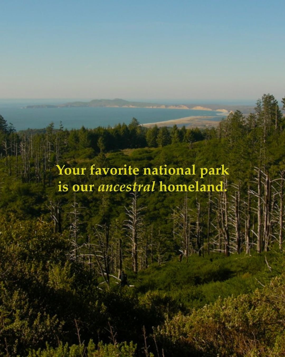 Point Reyes National Seashore is a destination for many. For us, it is home.

Our family lived along Tamal-liwa. They gathered oysters, clams and abalone from these waters. They built homes on these coves.
Rematriation is about restoring relationship