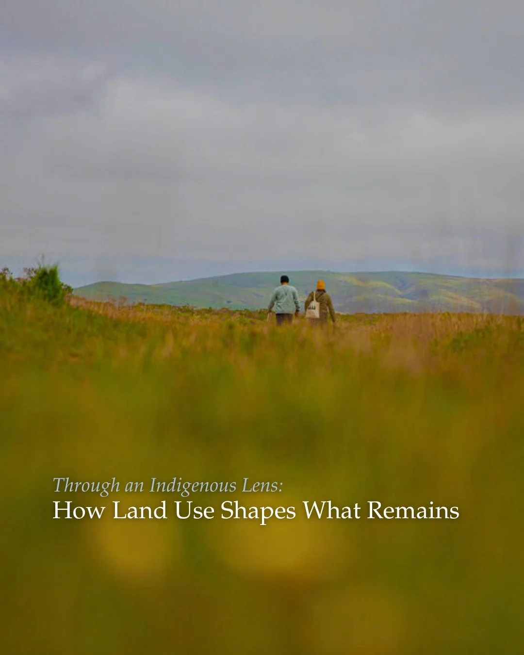 At Felix Cove, ranching didn't just shape the land. It shaped who could stay on it. 🌊

The Felix family was forced from their ancestral home, and over time, Indigenous presence in the region was pushed out of view. What we see today is the result of