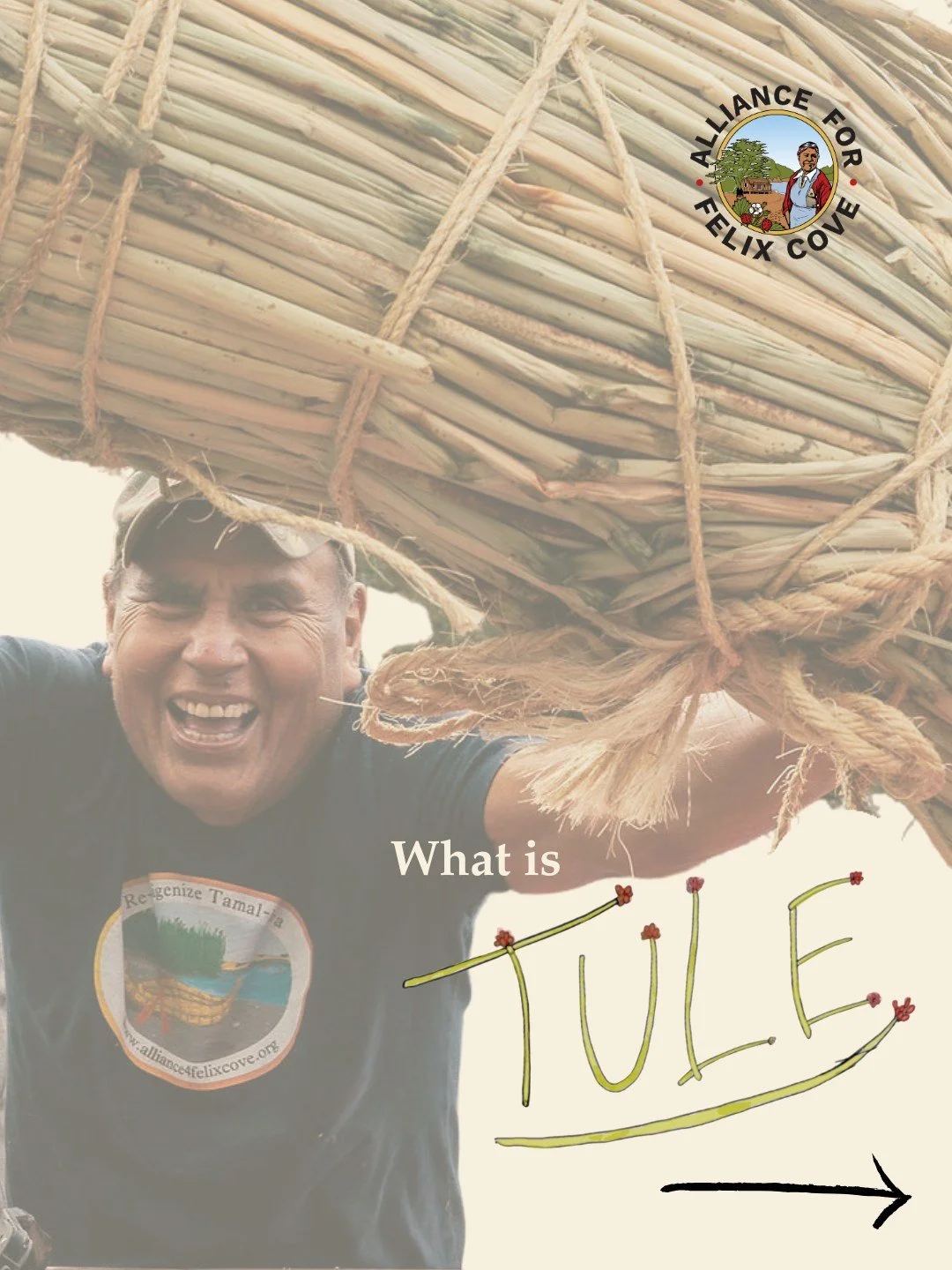 🌿Tule is a symbol of reciprocity and connection to the earth. 
For hundreds of years, Coast Miwok people tended to tule, tall grass with small reddish-brown flowers at the tip. As a versatile plant relative, tule has provided homes, clothing, toys, 