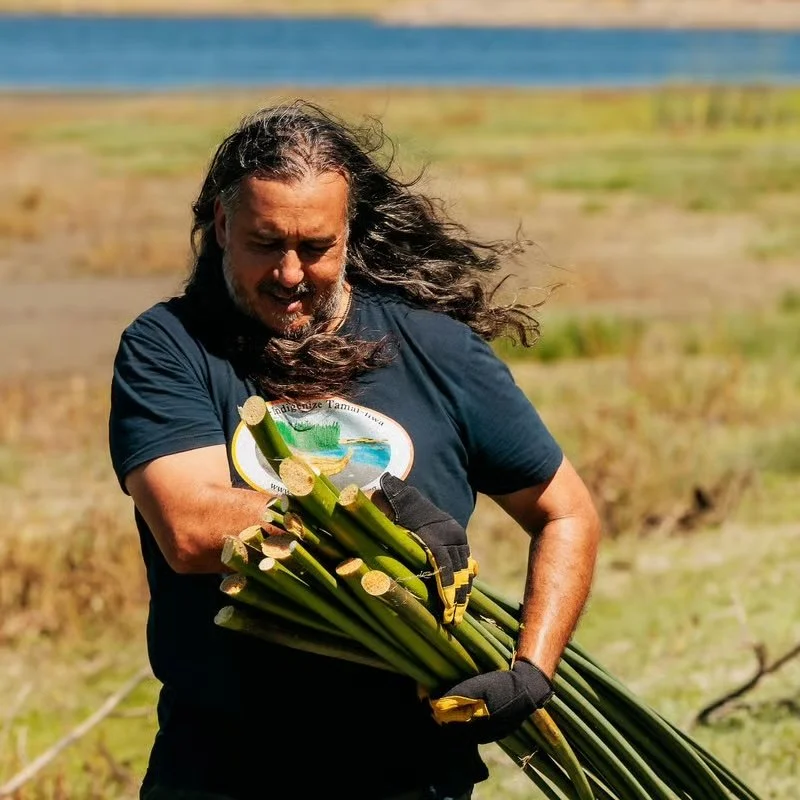 Tule Harvest &amp; Community Gathering # 1