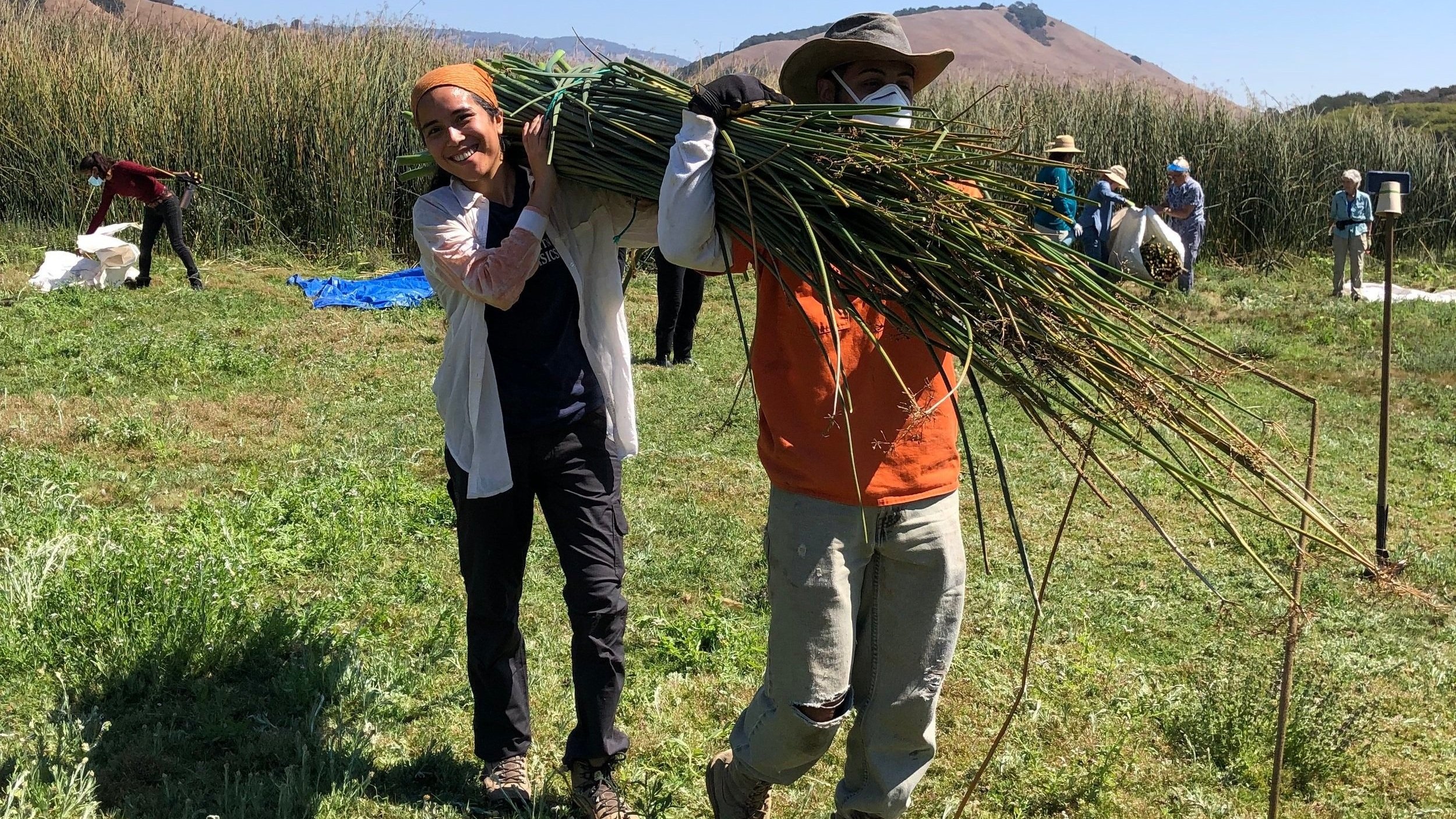 Tule Harvest & Community Gathering