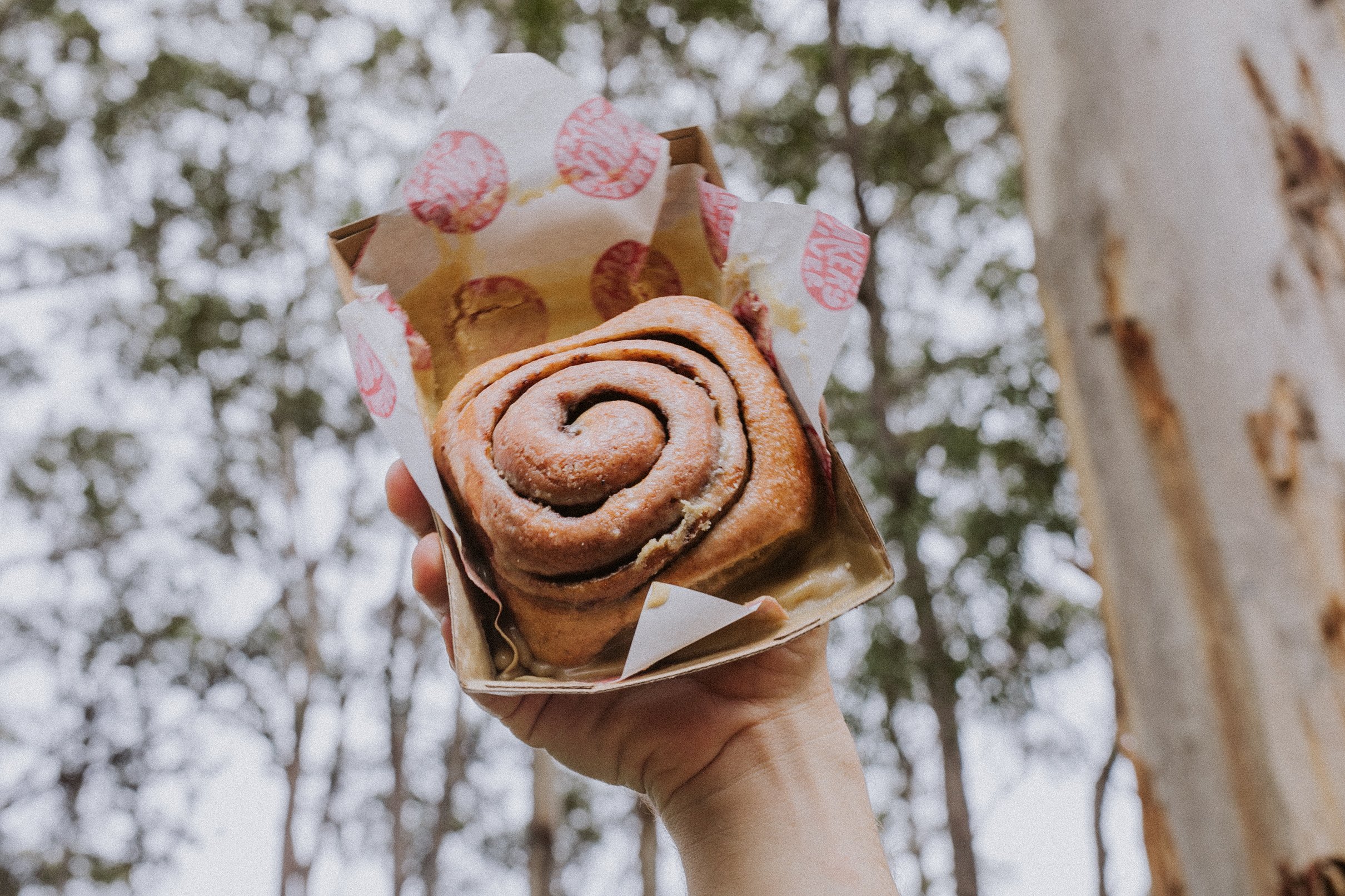 Cinnamon bun (whole tray of 24)