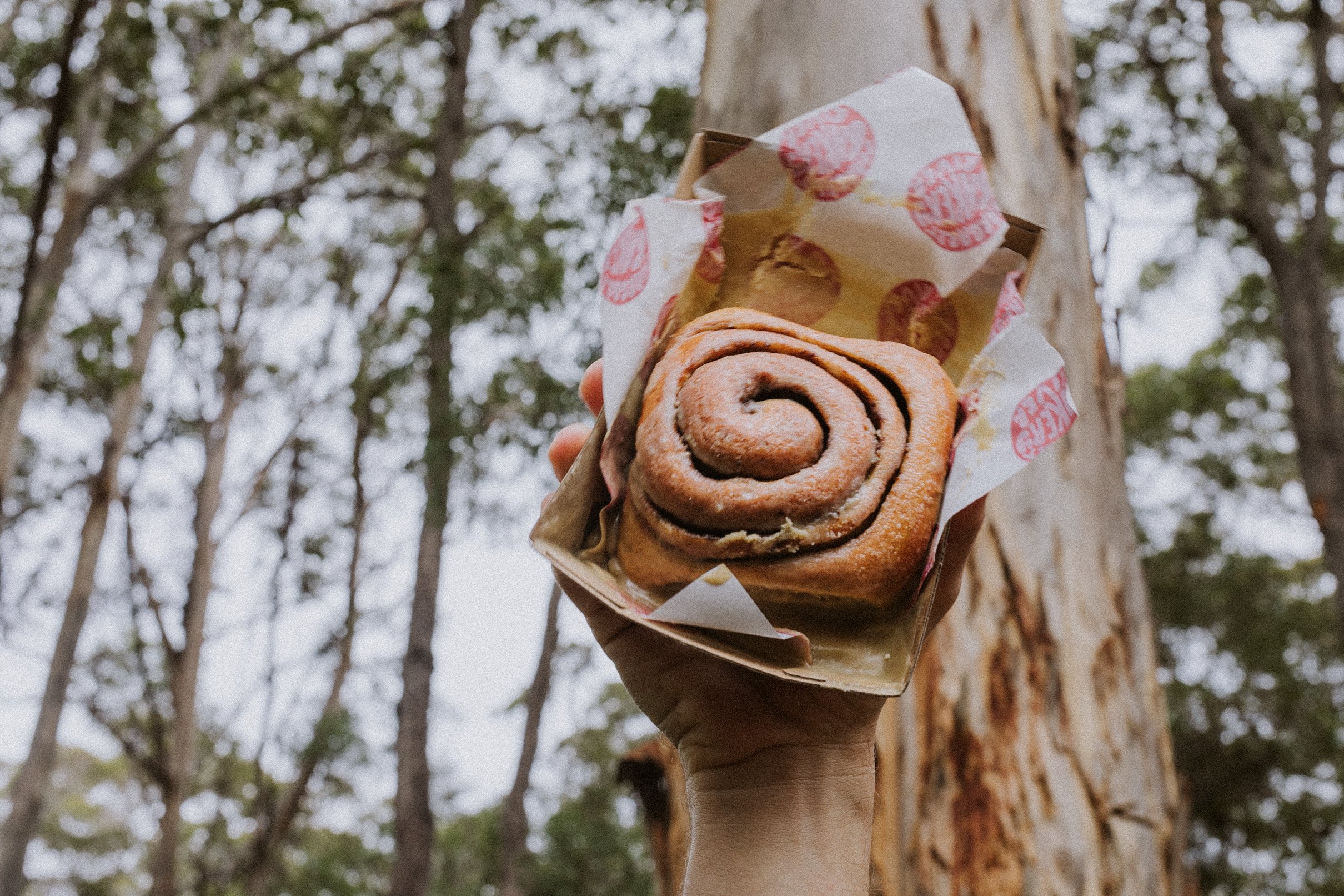 Cinnamon bun