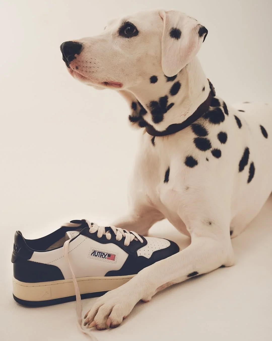 -
Dear Santa,

AUTRY🤩👟

AUTRY 全系列款式限量六折優惠中🎉
_
AUTRY 以經典網球鞋起家，並延伸至跑步鞋、訓練鞋等多元運動鞋款，流線輪廓與辨識度極高的美國國旗標誌，承襲了濃厚的美式復古精神。

ASPORT 精選引進 AUTRY 經典 Medalist 系列，推出白、黑、綠及麂皮拼接等多款配色。無論是搭配運動風造型，或日常休閒穿搭，皆能展現獨有品味。

Now Available in ASPORT stores.

歡迎洽各門市 LINE 更直接獲取更多折