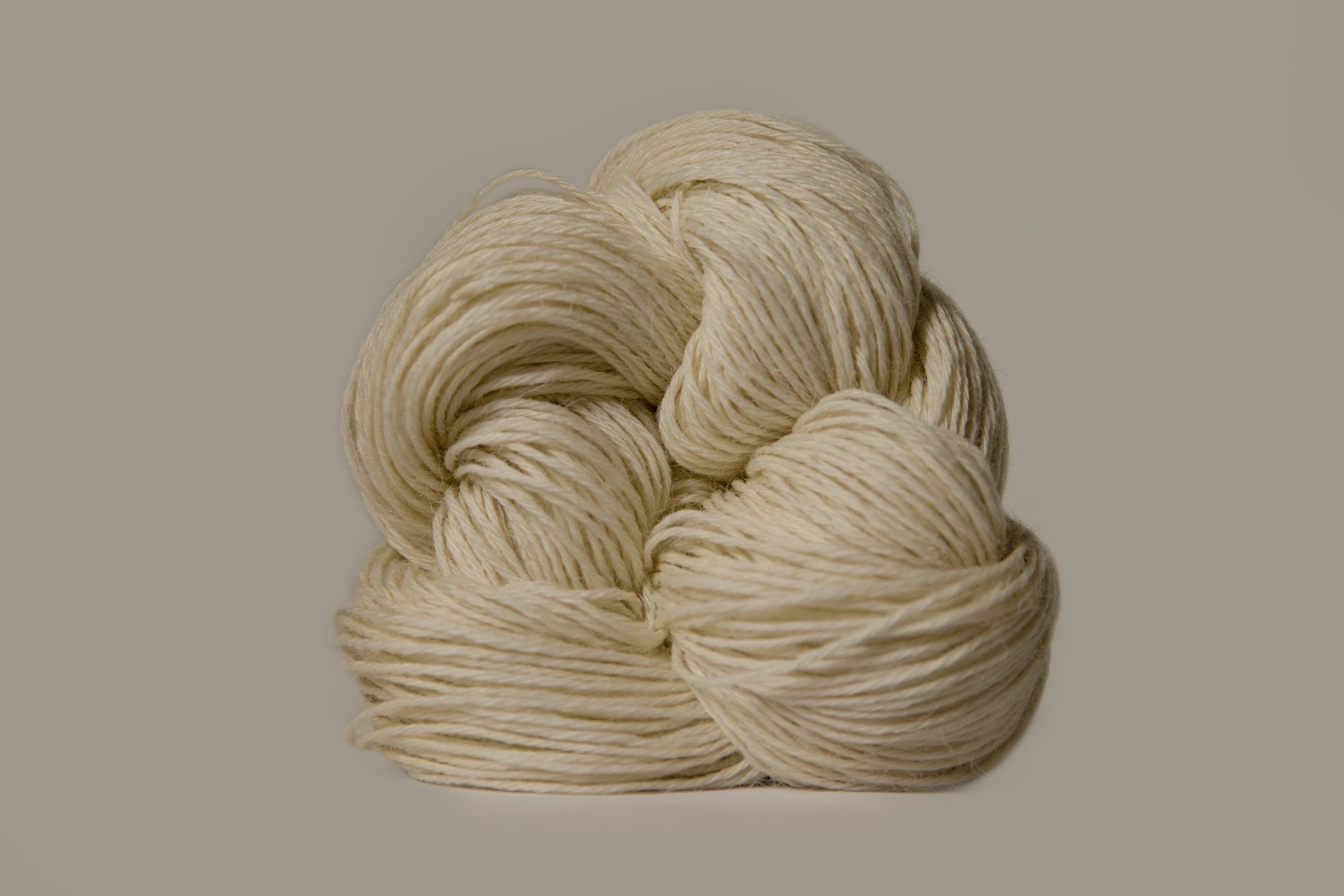 1P1A8554.jpg