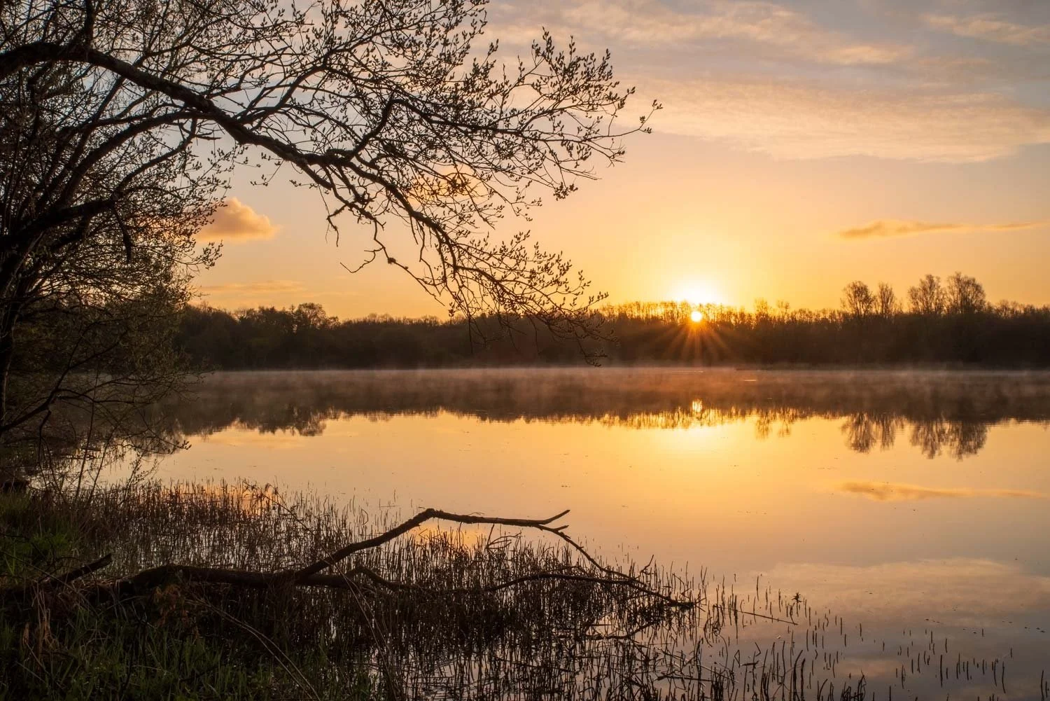 Eglinton Loch near Kilwinning, North Ayrshire.