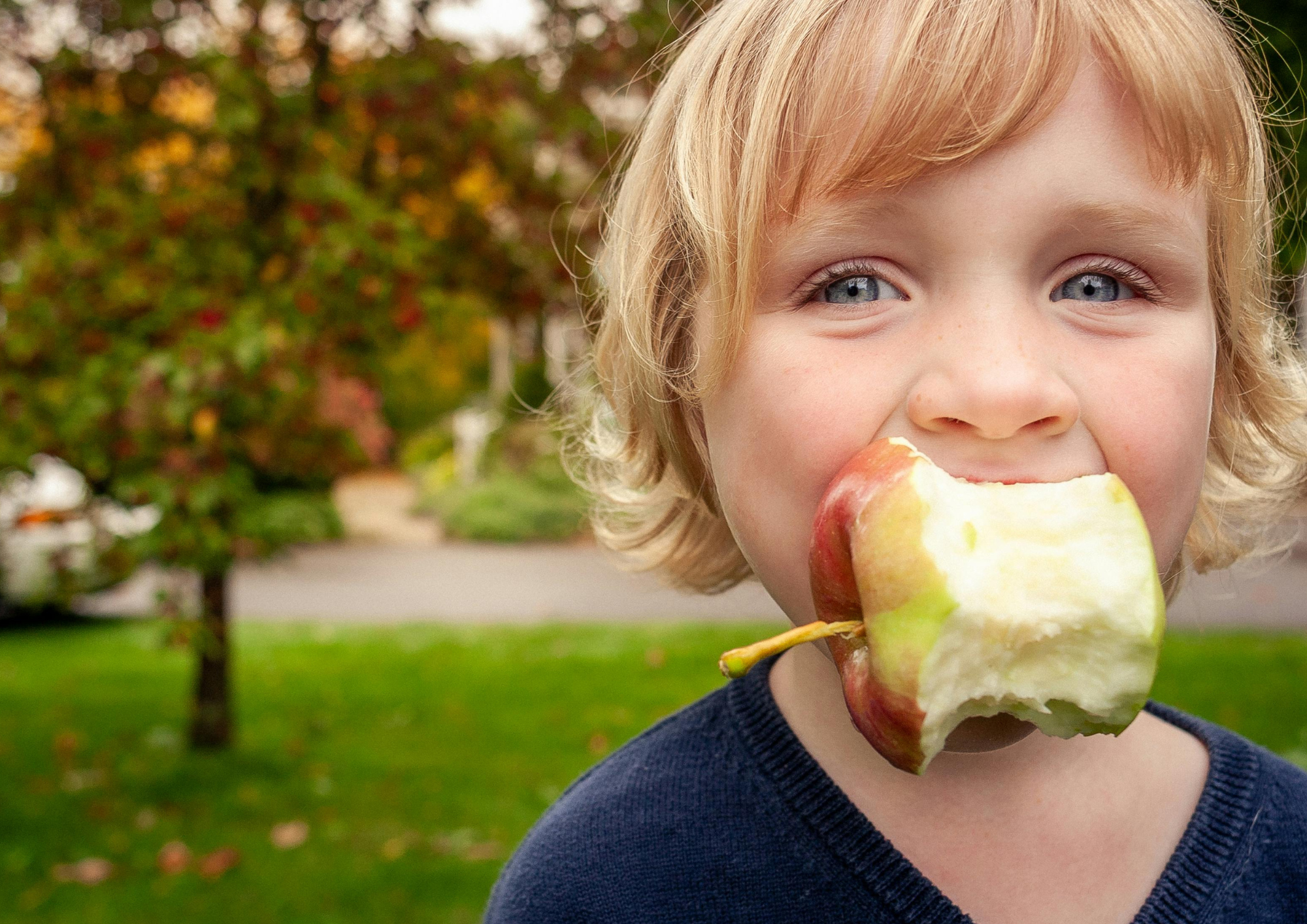 Why your toddler refuses dinner (and what to do instead)