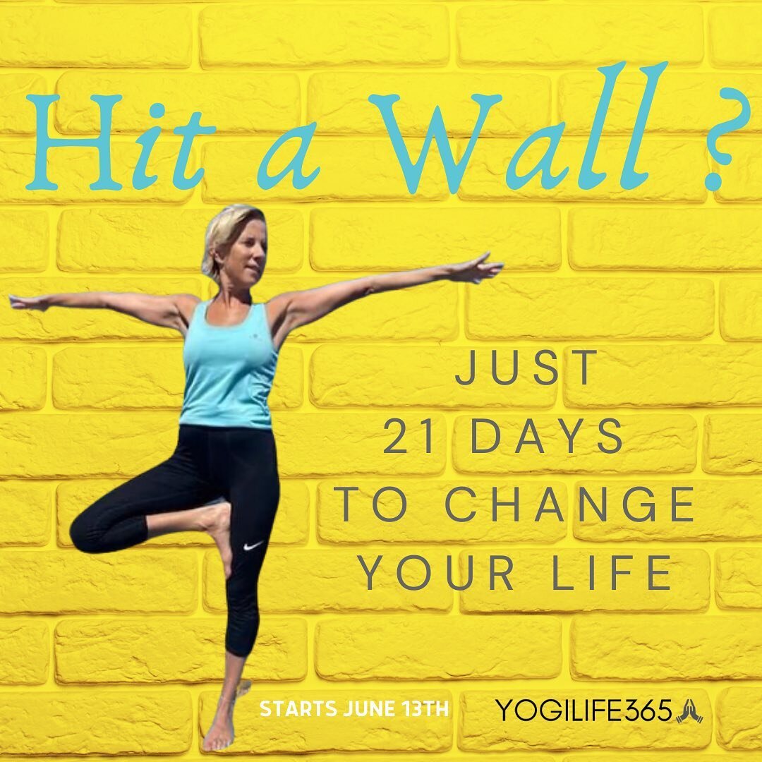 Hit a brick wall? Tried all the crash diets, shakes, smoothies and so-called wellness expert advice? Need something that changes your mind and body for the better?! HAVE MORE ENERGY! Our 21 Day life changing Detox yet? 21 Days to Detox, Lose Weight &