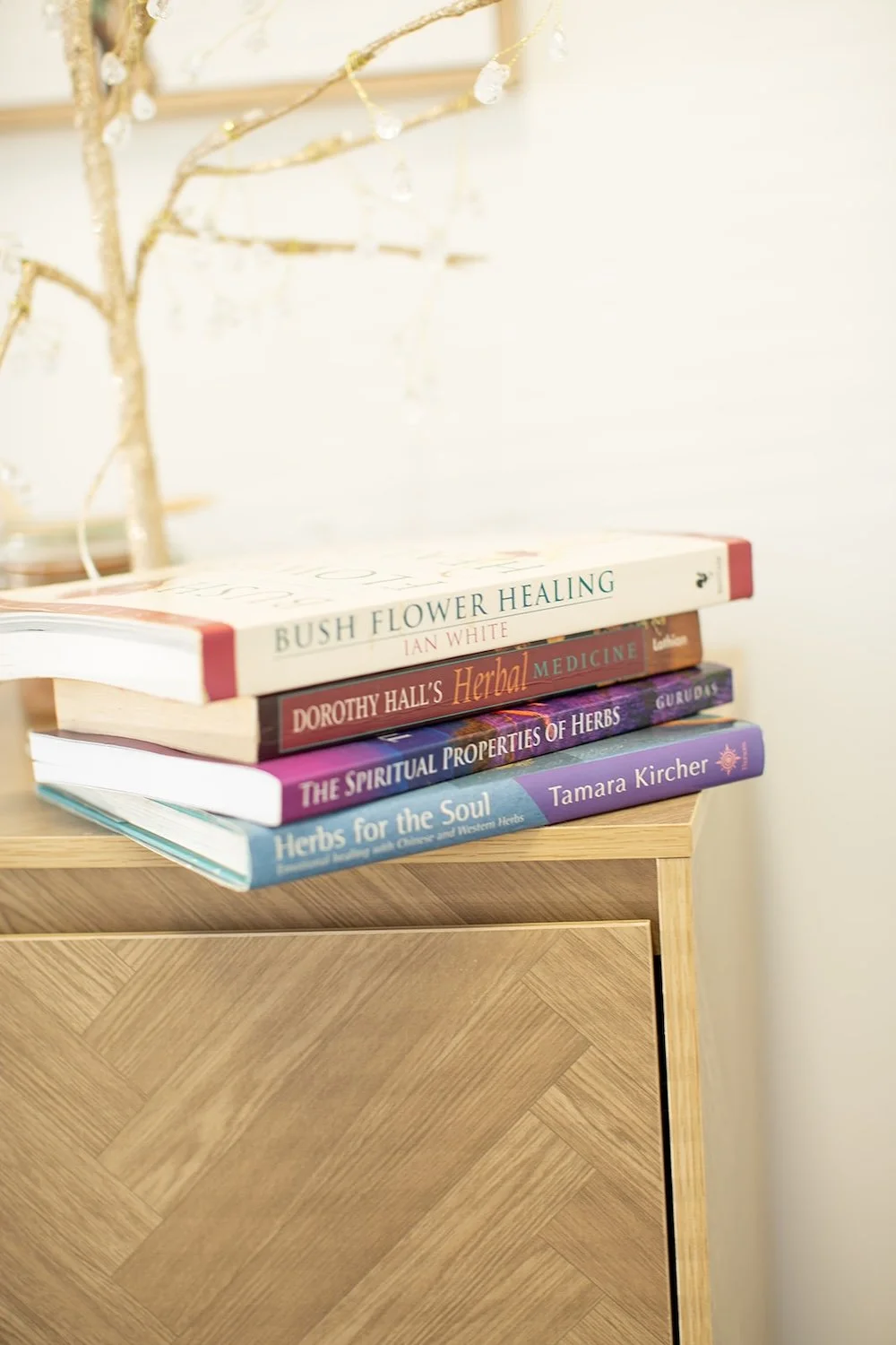 Naturopath Holistic health consultation at Danielle Dennis Naturopath Bargara