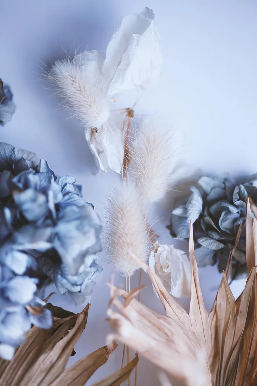 Ma’at Healing Remote Ma’at Healing session with Danielle Dennis naturopath QLD