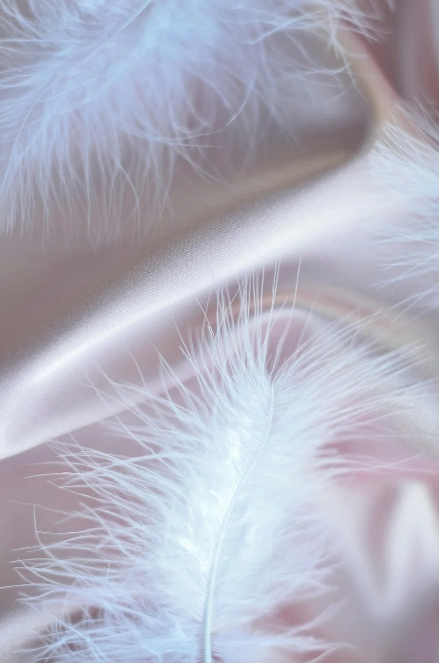 Danielle Dennis providing energy healing session in Bargara clinic