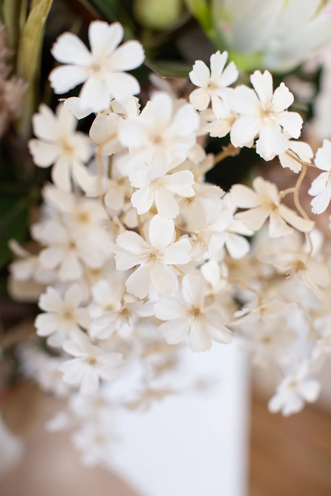 Herbal dispensary and treatment notes at Danielle Dennis Naturopath Bundaberg