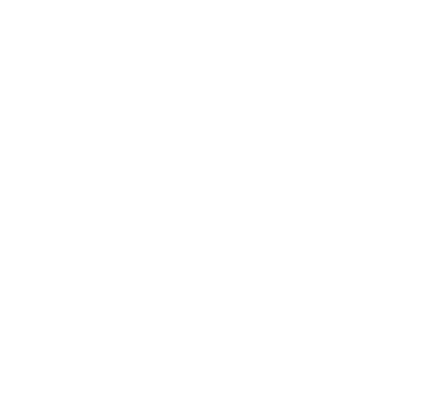 BLACKBIRD VISUALS