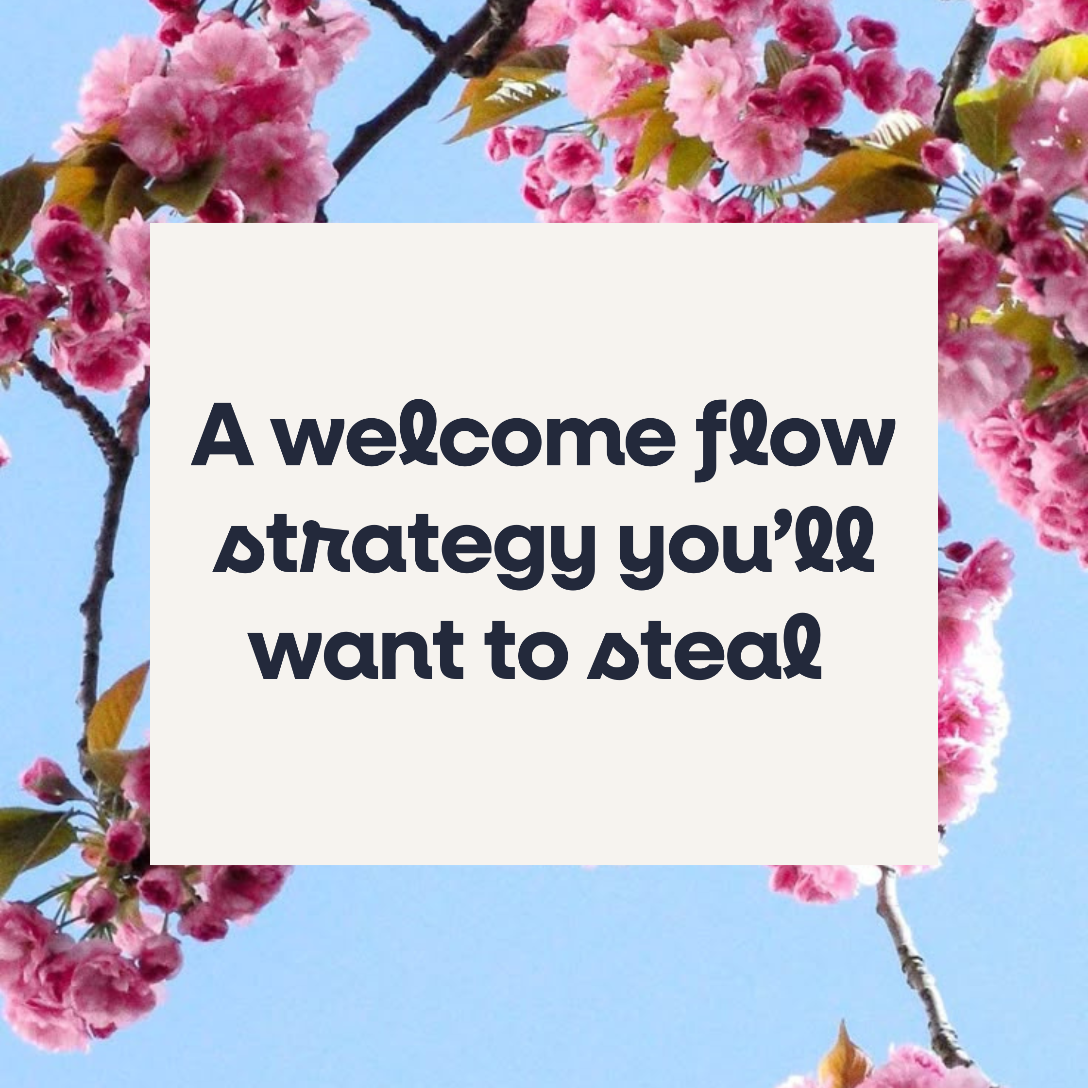 A welcome flow strategy you’ll want to steal