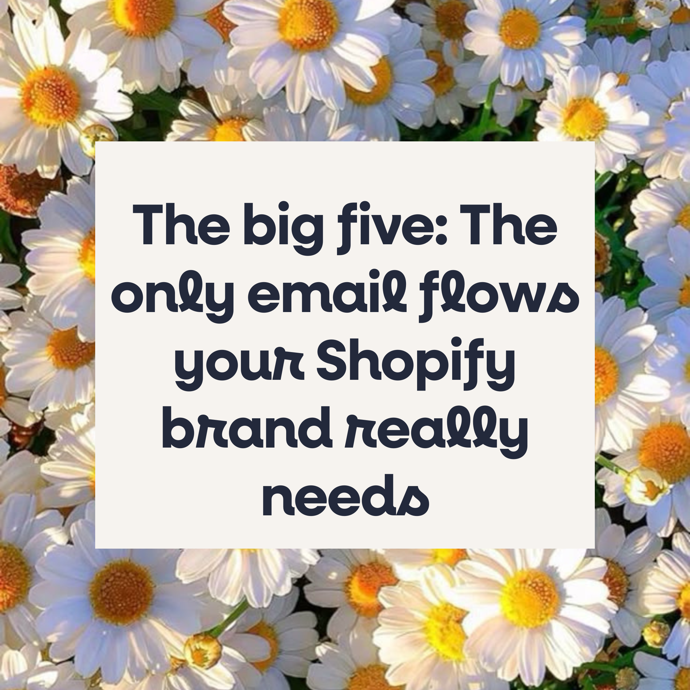 The Big Five: The only email flows your Shopify brand really needs