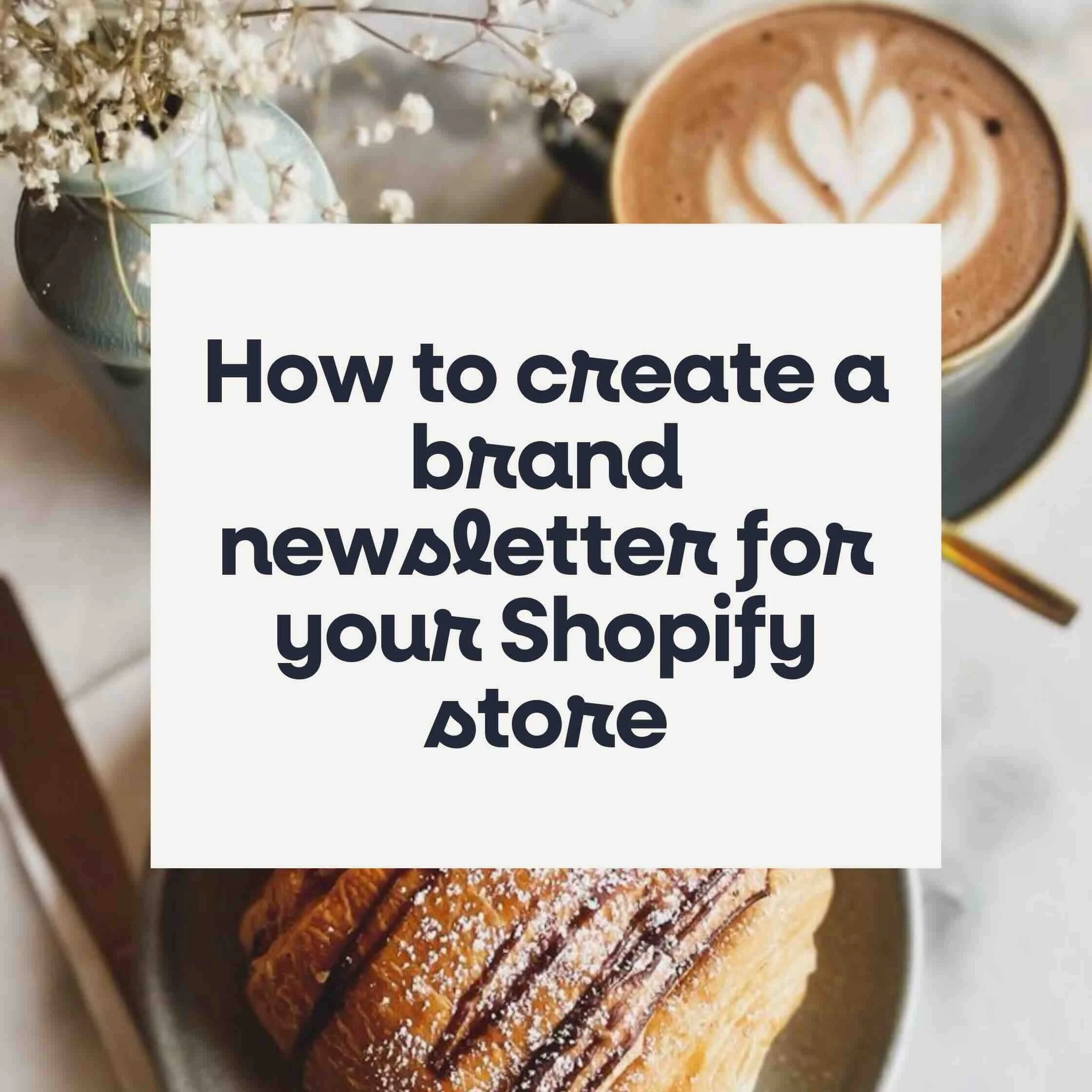 How to create a brand newsletter for your Shopify store