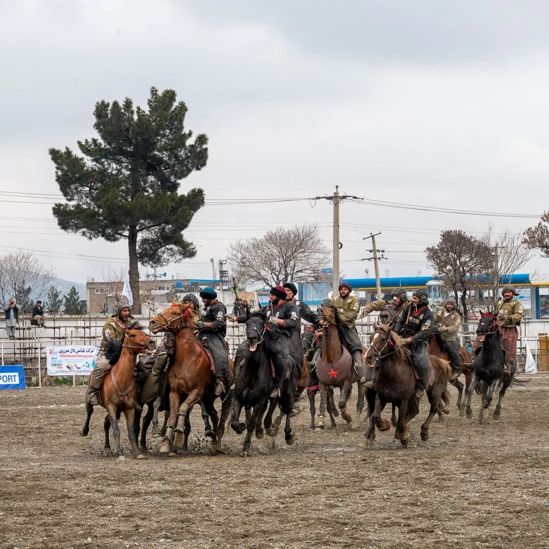 Battered, Bruised, and Bleeding