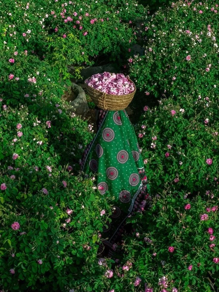 Eyes open to vivid color and glorious light 🌀🪞

A little mood board of the things keeping us inspired and connected x