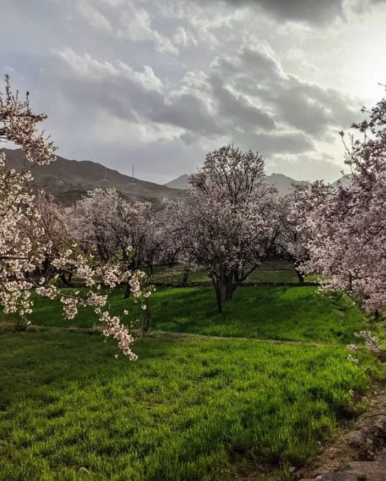 Nowruz Mubarak 🌸

It may seem futile to celebrate at a moment such as this, when war and injustice have so fractured our world that it seems pointless to hope for anything. When the pain of the world is so potent, how can we sing? When we witness th