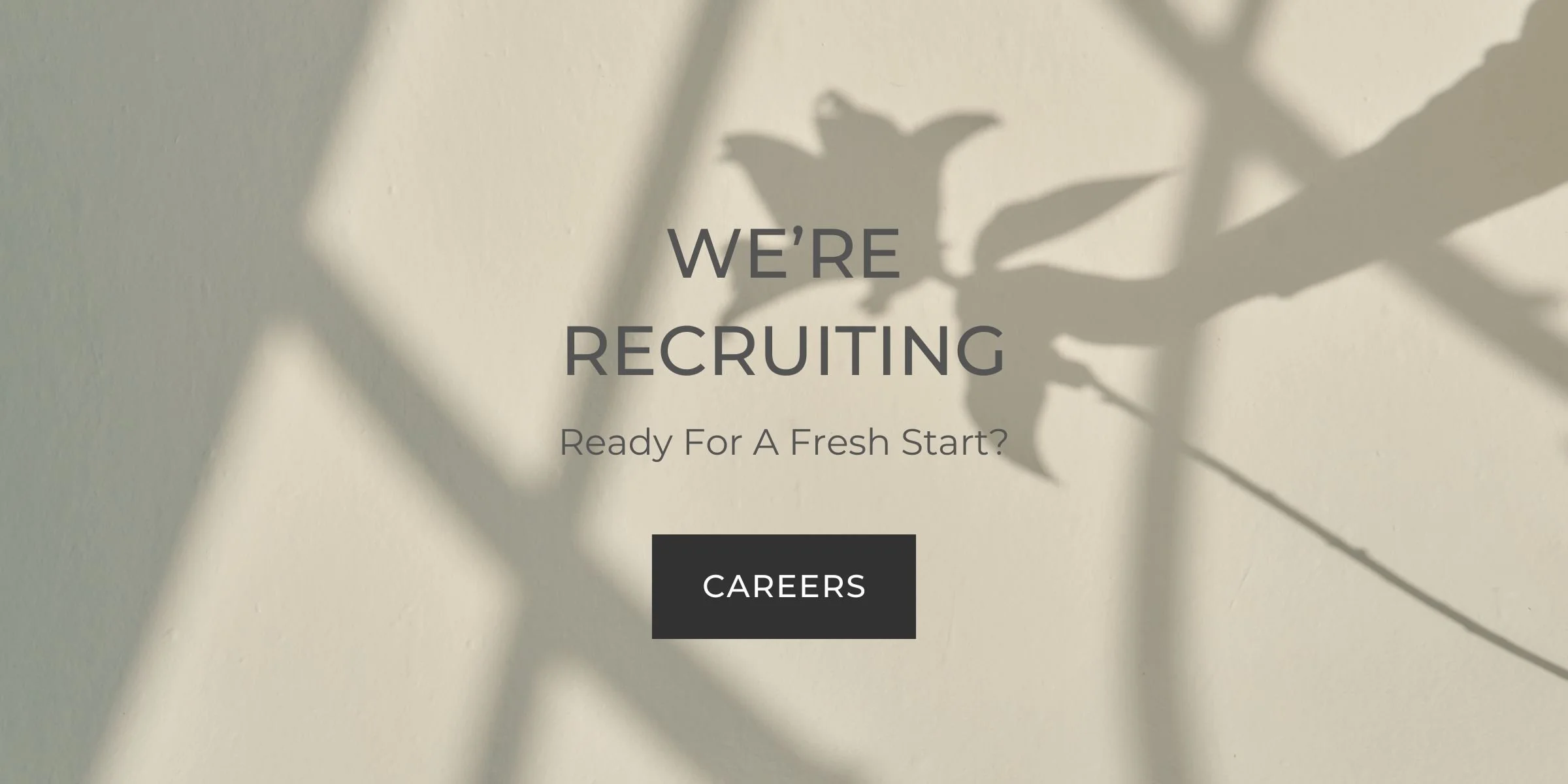 Website Banners (3).jpg