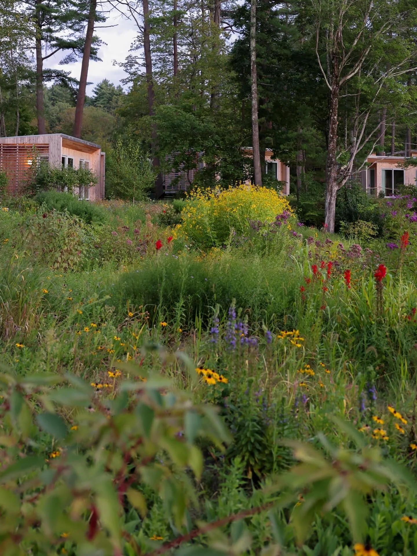 Allie C416672B-0615-4FB6-823D-AA0B6745627D.JPG