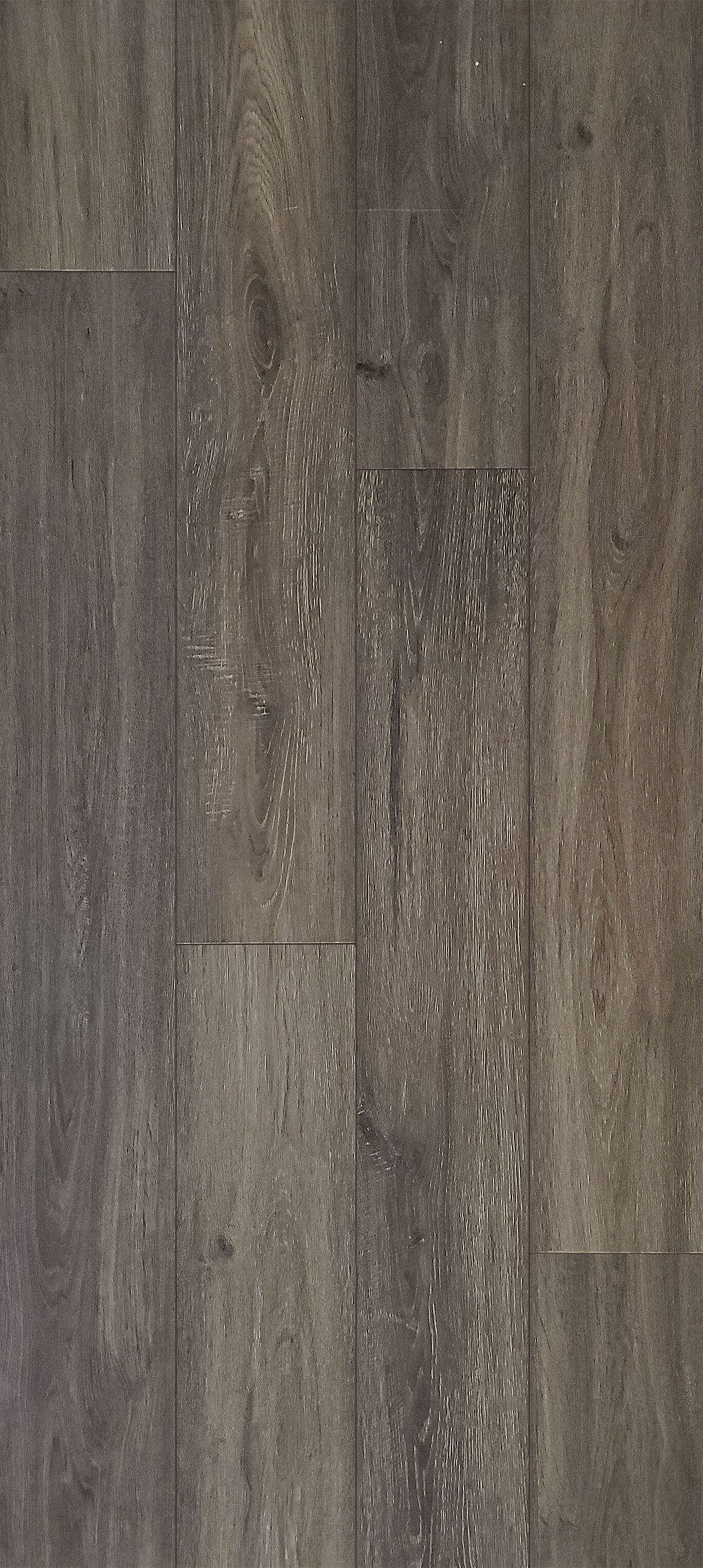 Tilly-Oak(WEB).jpg