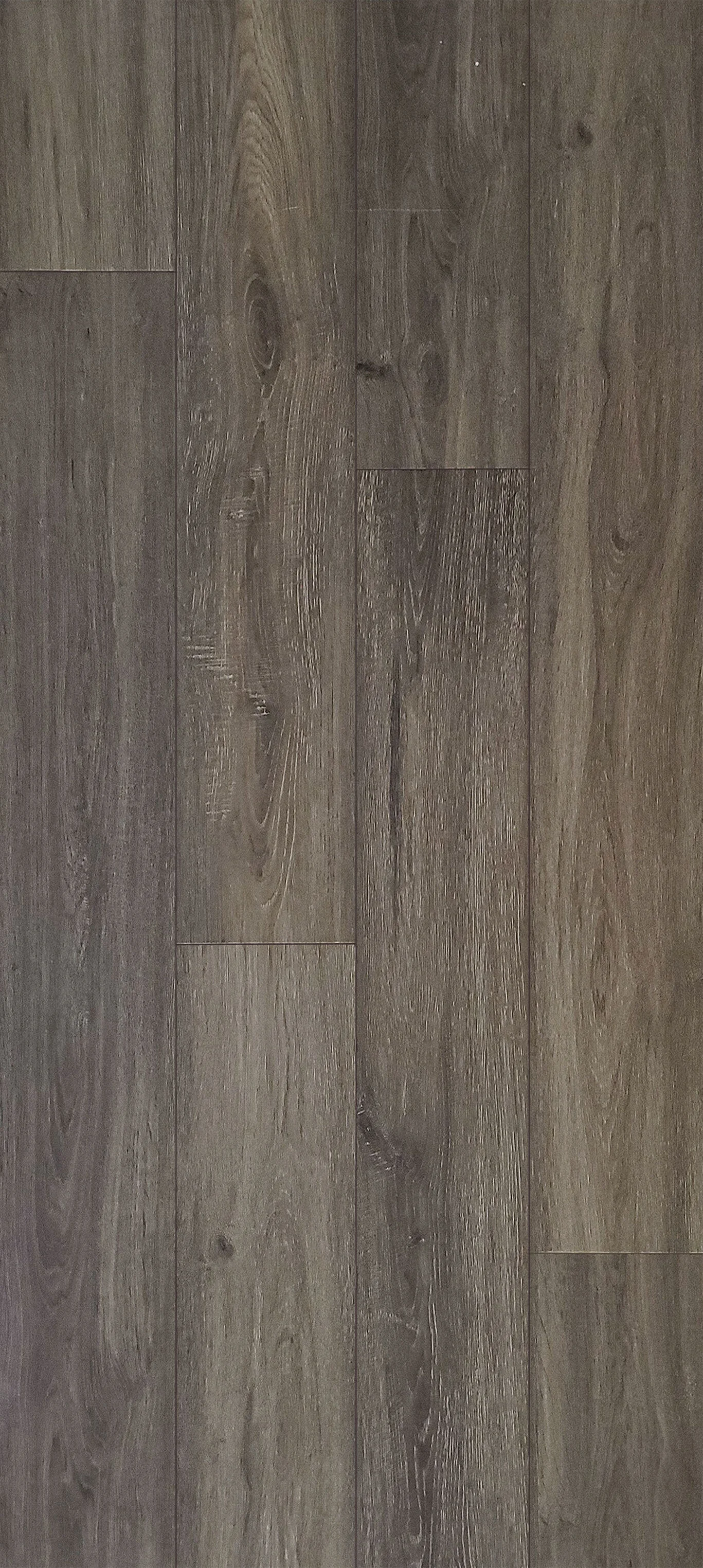 Tilly-Oak(WEB).jpg