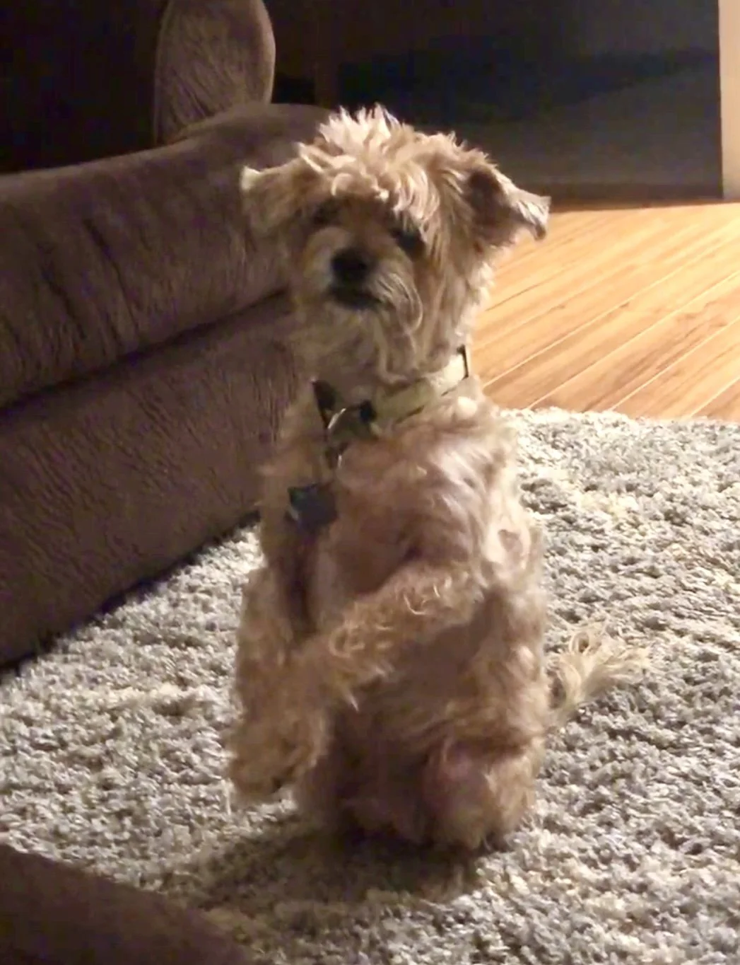 Screenshot 2025-12-12 at 2.59.55 PM.jpg