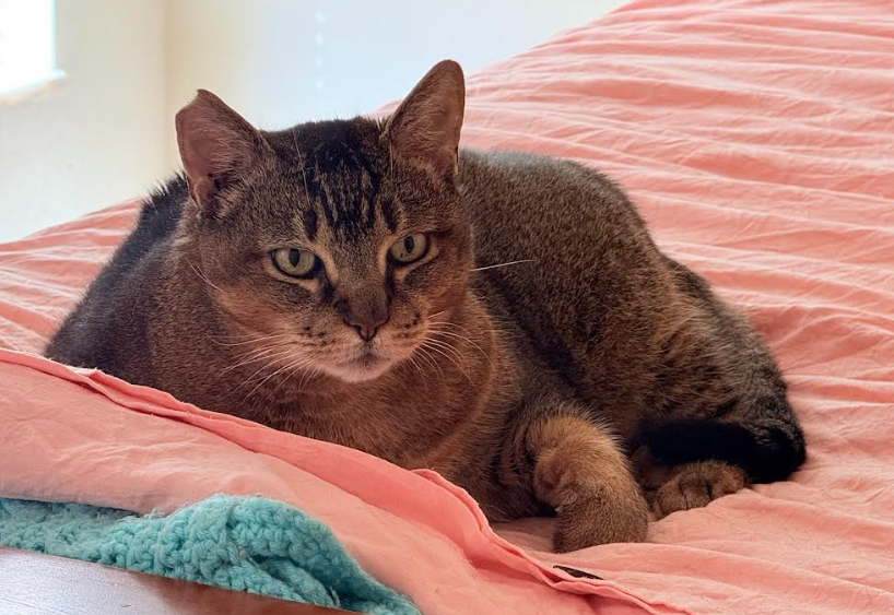 Screenshot 2025-12-13 174623.png