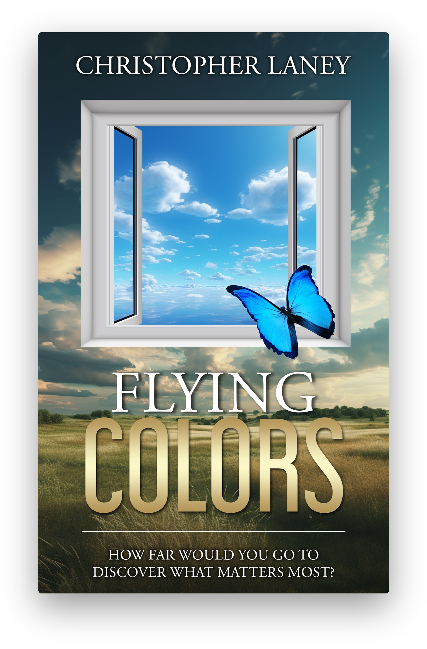 Flying Colors book cover