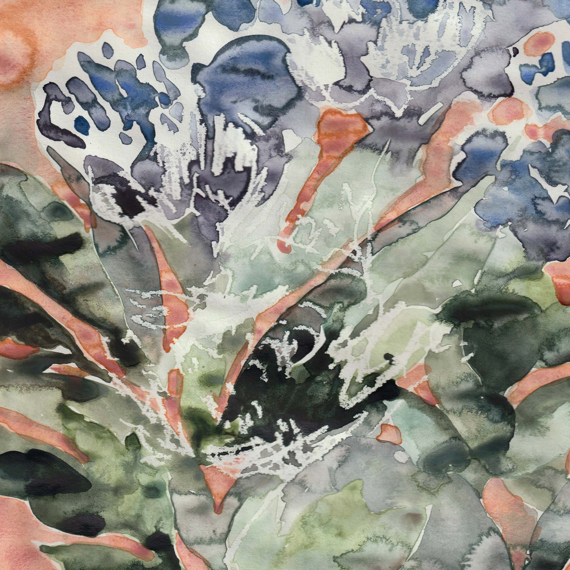 Poppies-july.jpg