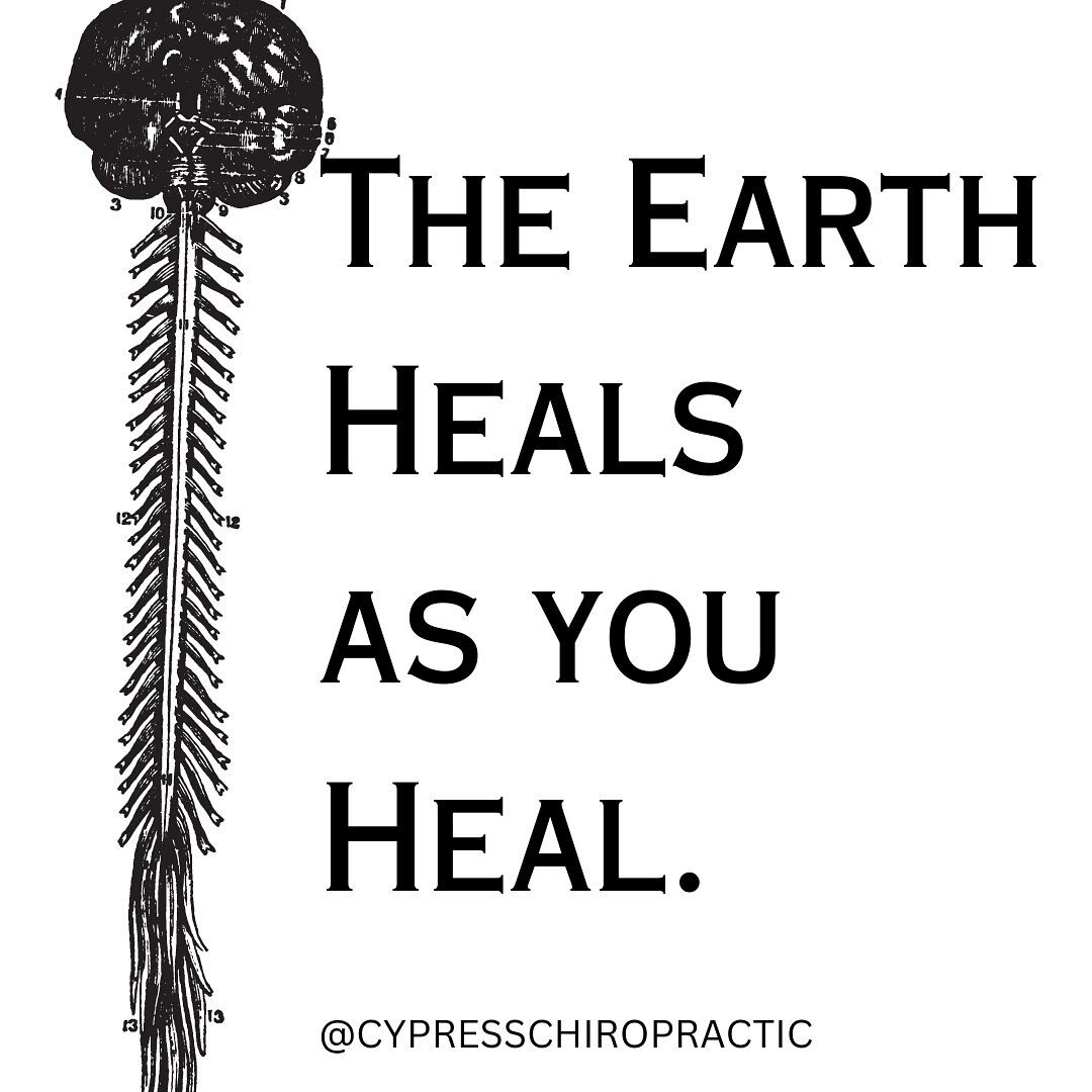 Happy Earth Day! 🌎 Let&rsquo;s heal together. 🖤

 #earthday #trust #truth #chiropractic #heals #earth #charlestonchiropractor #charleston 
#everydayisearthday