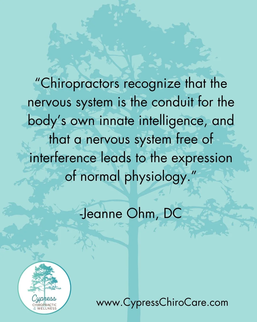 Feeling stuck? Chiropractic care helps you maintain spinal health and overall wellness. 🦴
----
#CypressChiropractic #chiropracticcare #charleston #charlestonsc #chs #charlestonwellness #healthandwellness #familywellness #healthyliving #healthyhabits