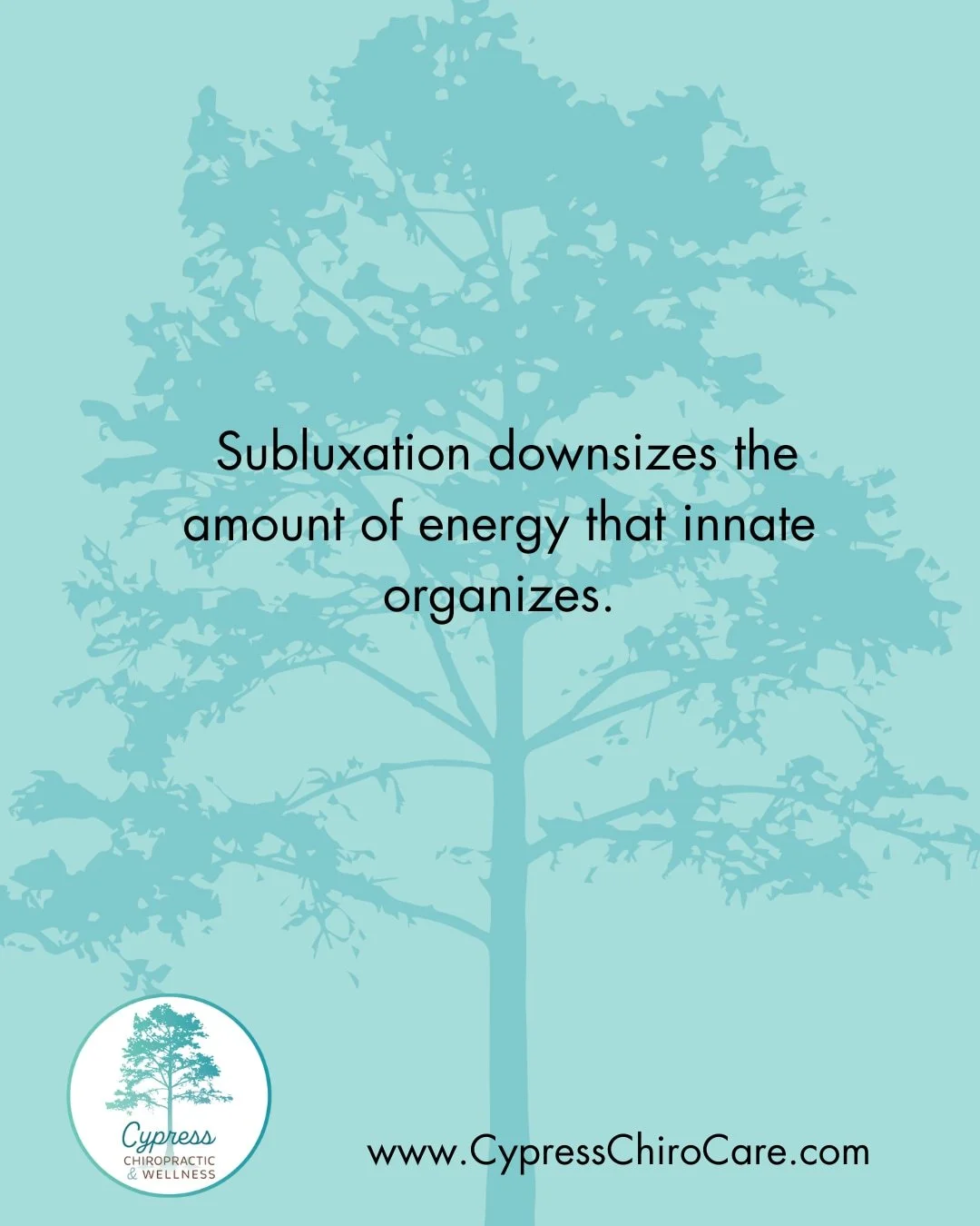 Your body's innate intelligence can only be successful hen the barriers (subluxations) are removed. Chiropractic removes the barrier!

#cypresschiropractic #charlestonsc #chs #charlestonwellness #holistichealth #getadjusted #subluxation #innateintell