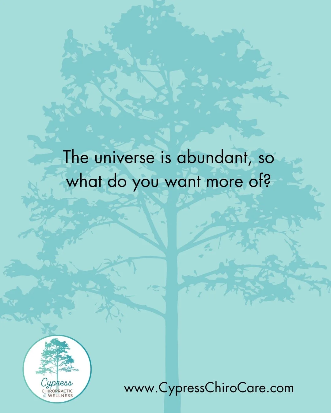 WE want:
-MORE energy⚡
-MORE time spent on ourselves💆&zwj;♀️
-MORE life flowing through us!✨
-MORE health
-MORE wealth 
-MORE joy 
-MORE movement 
-MORE intention 
-MORE fun 
-MORE love 
-MORE MORE MORE! 

#cypresschiropractic #abundance #charleston